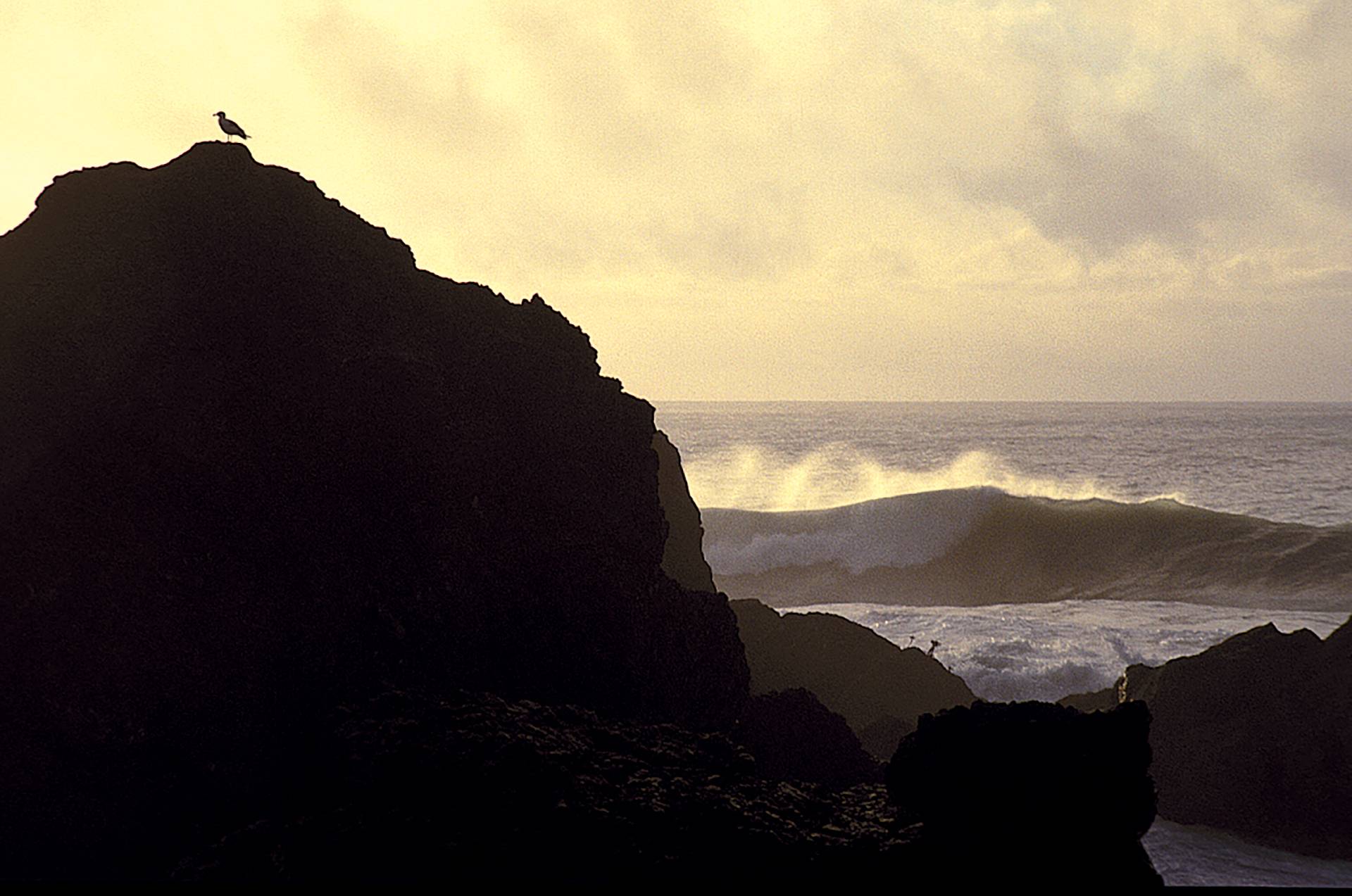 Sonoma County by Michael Kew