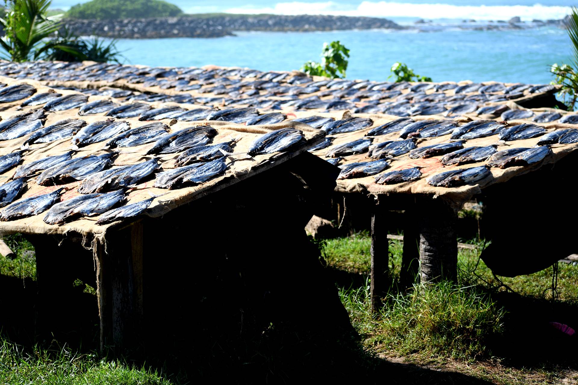 Sri Lanka Travel by Bruce Sutherland