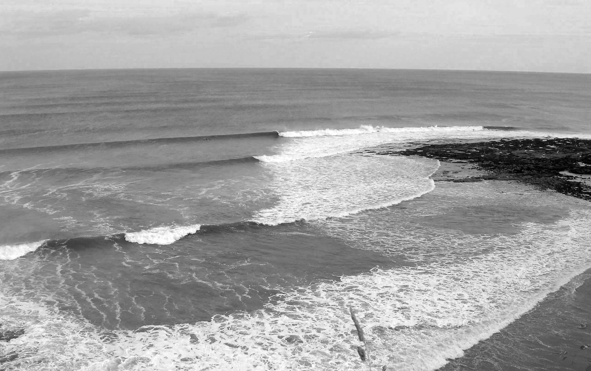 Near Pease Bay by Andy Bennetts