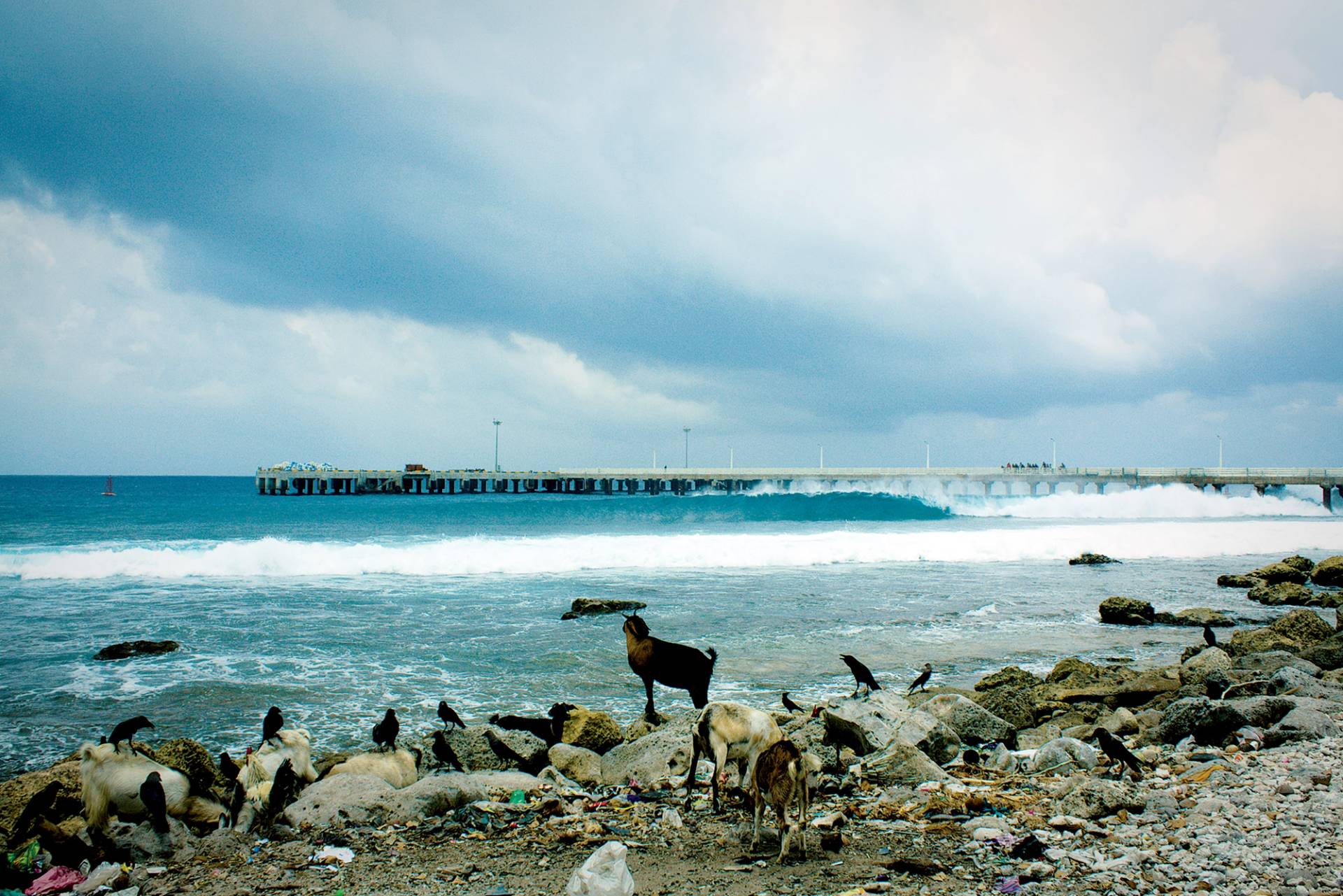 Lakshadweep Islands by Dustin Ellison