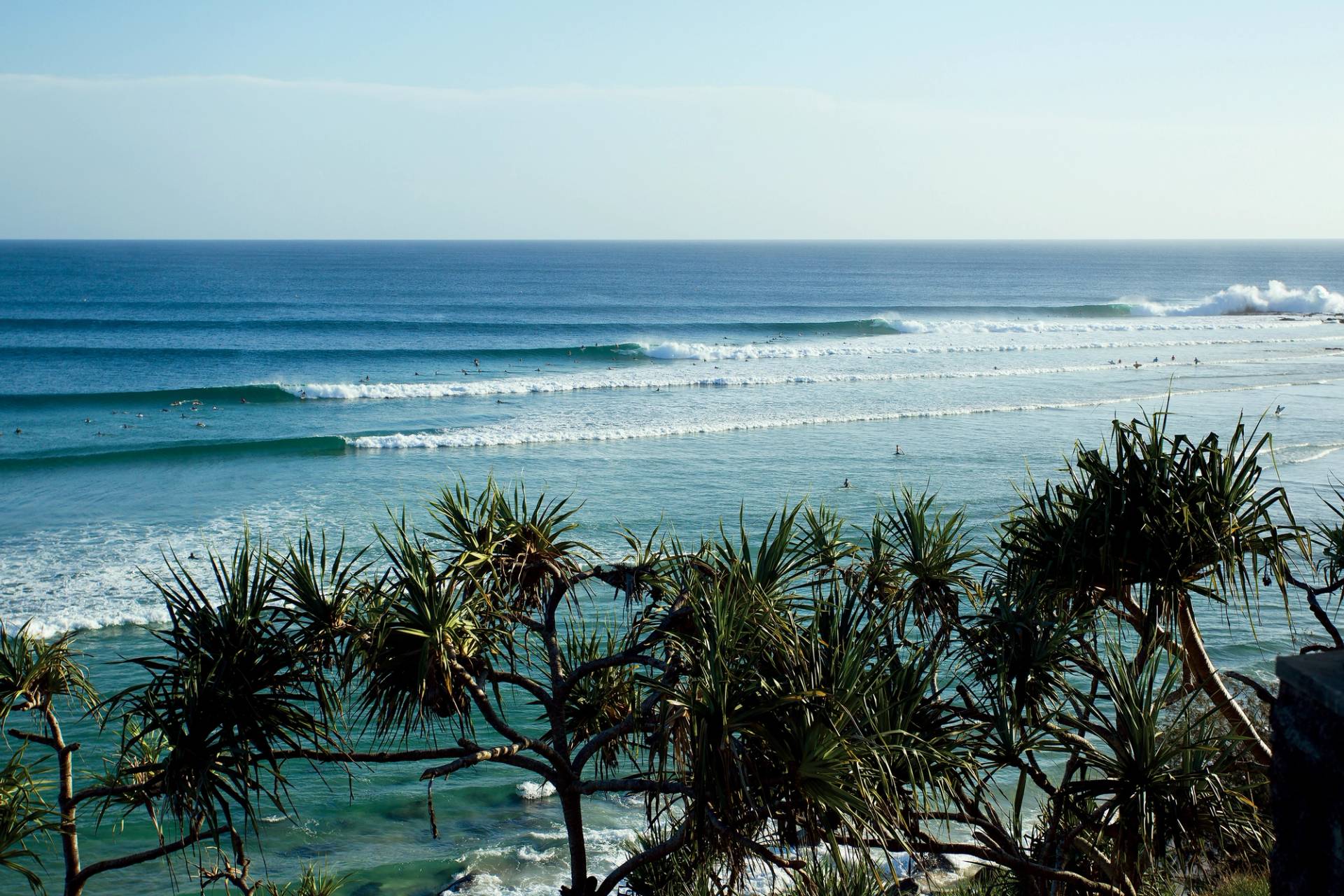 Snapper Rocks by Andrew Sheild