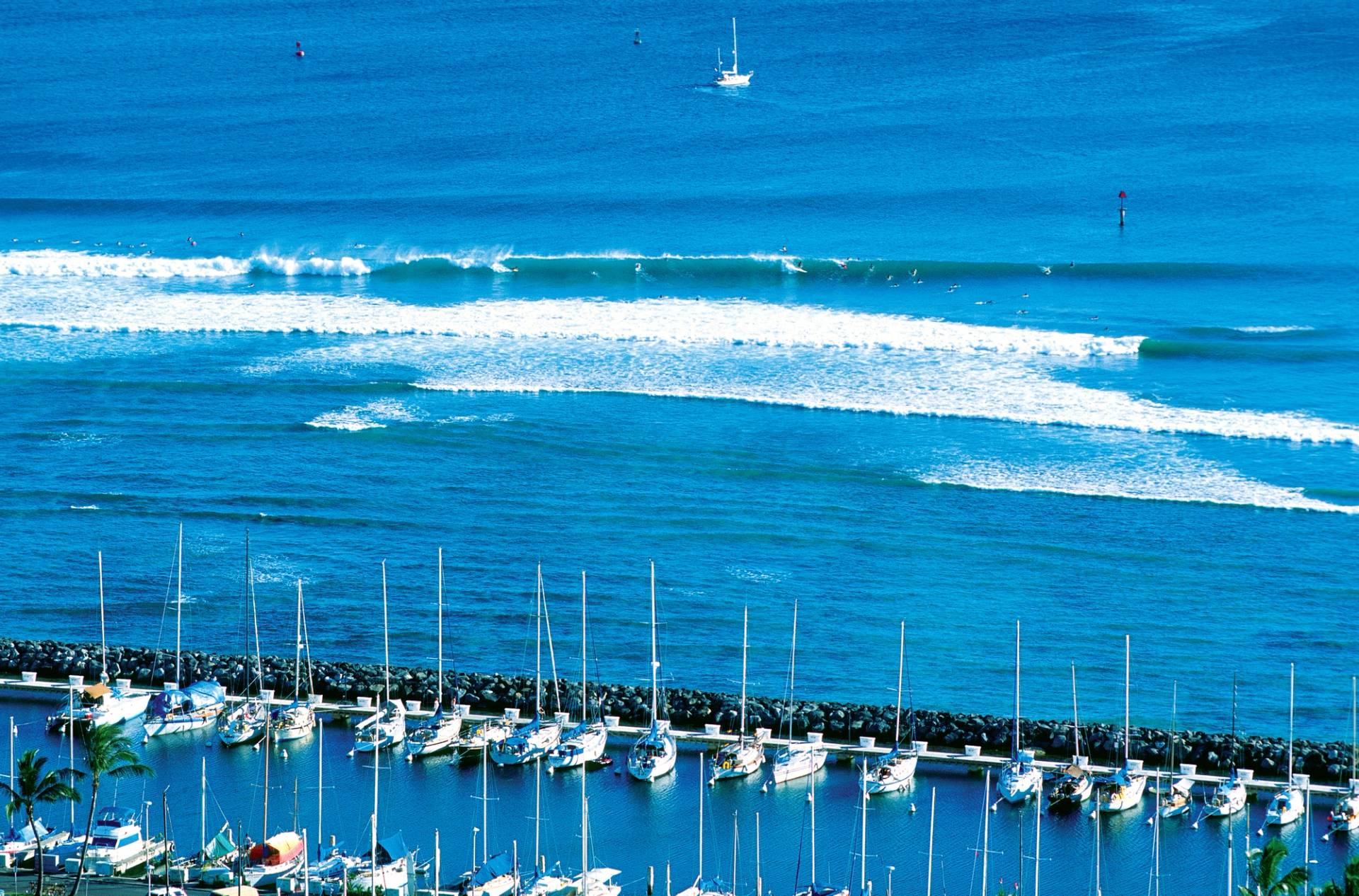 Ala Moana Bowls by John Callahan