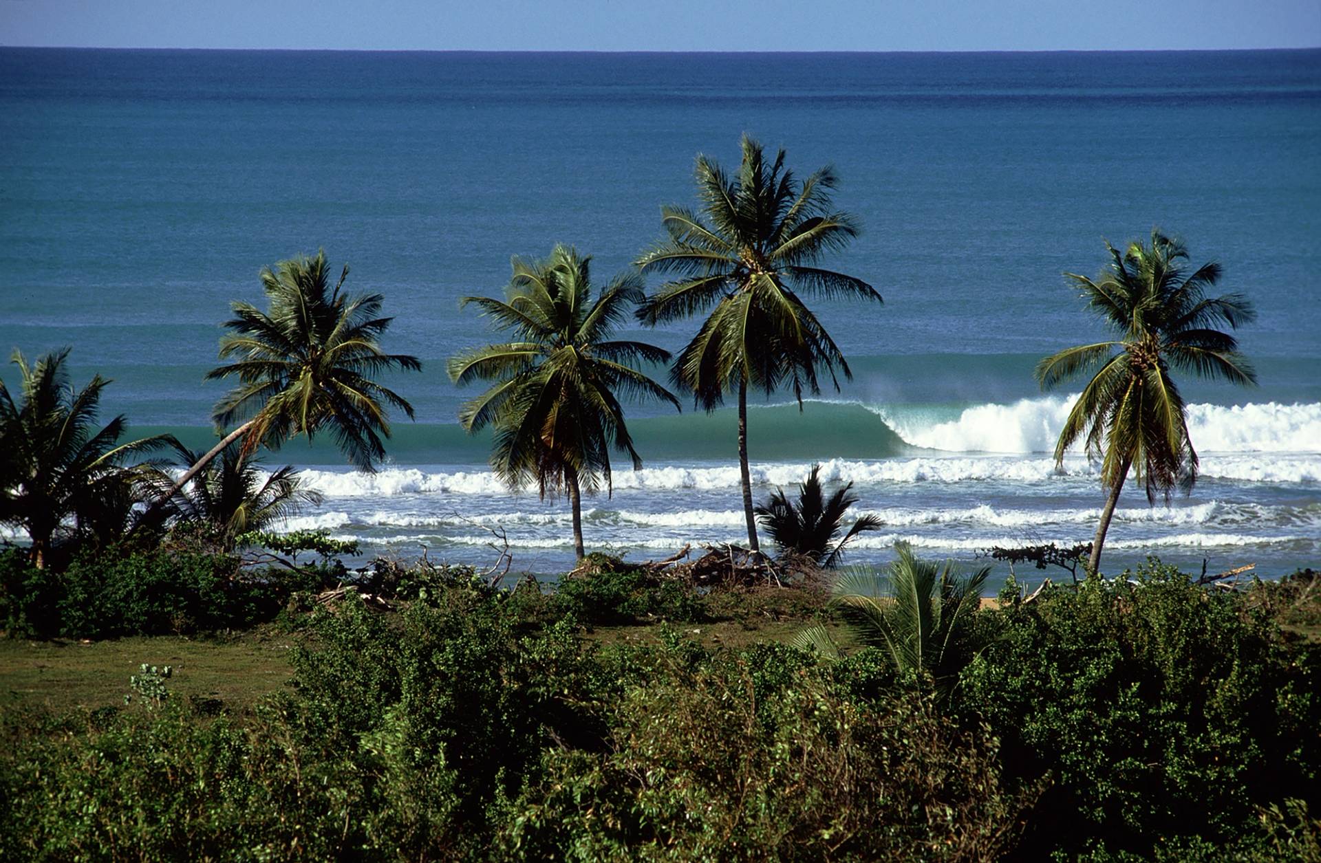 Northwest Puerto Rico by Steve Fitzpatrick