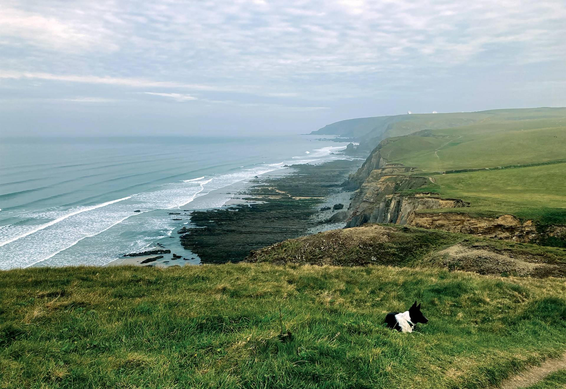 Sandymouth by Dan Haylock