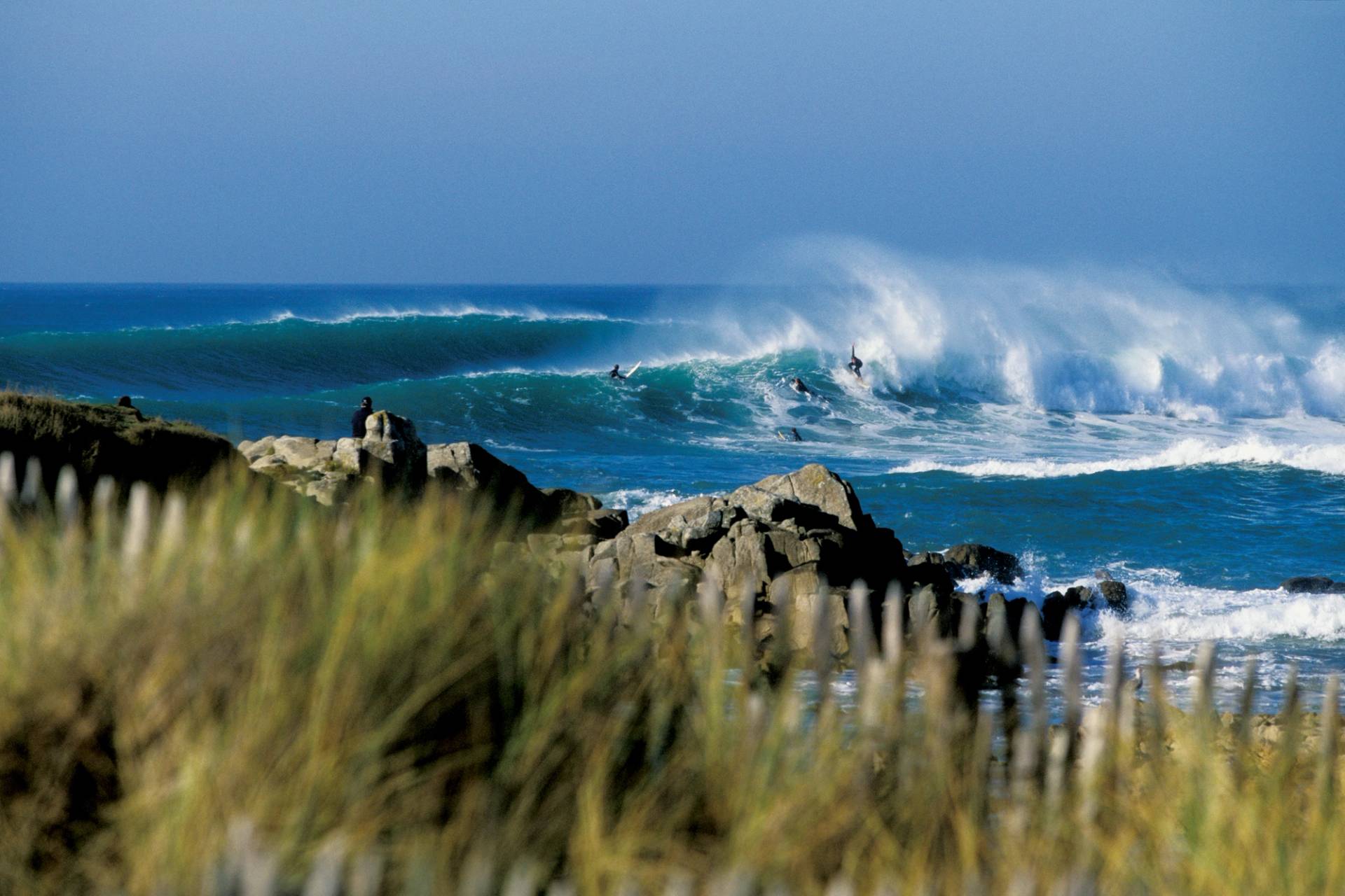 La Torche by Kristen Pelou