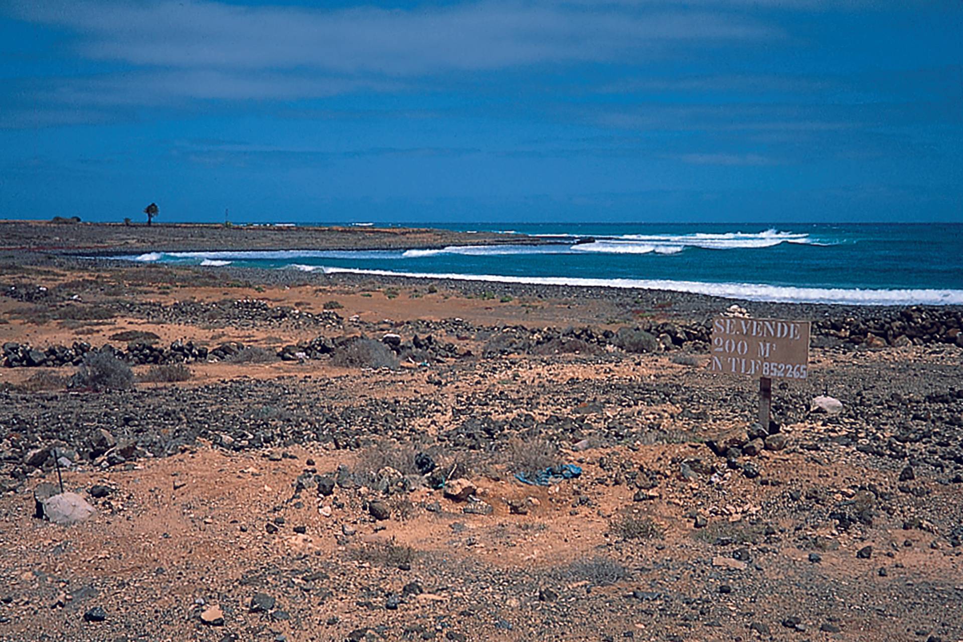 East Coast Fuerteventura by Dan Haylock