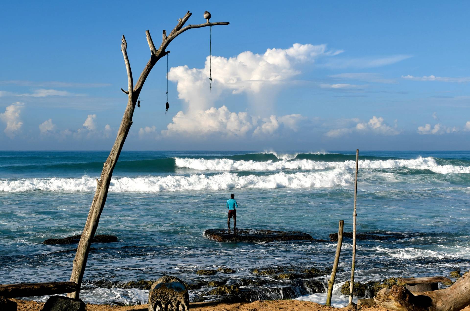 Coconuts by Bruce Sutherland