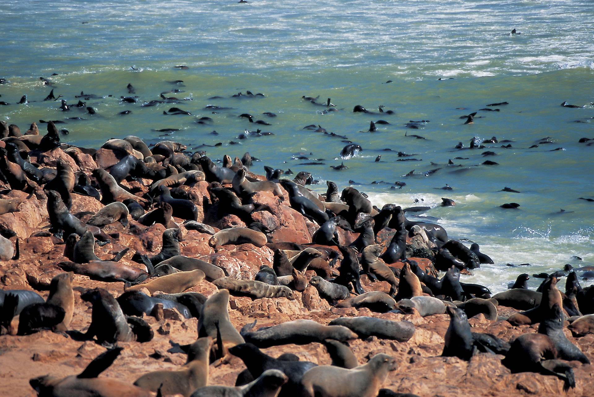 Namibia Travel by Stuart Butler