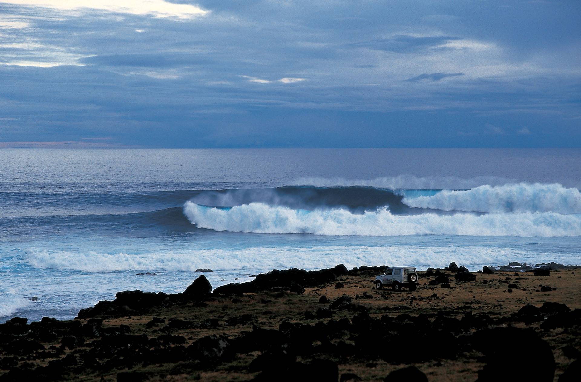 Tangaroa by Max Mills