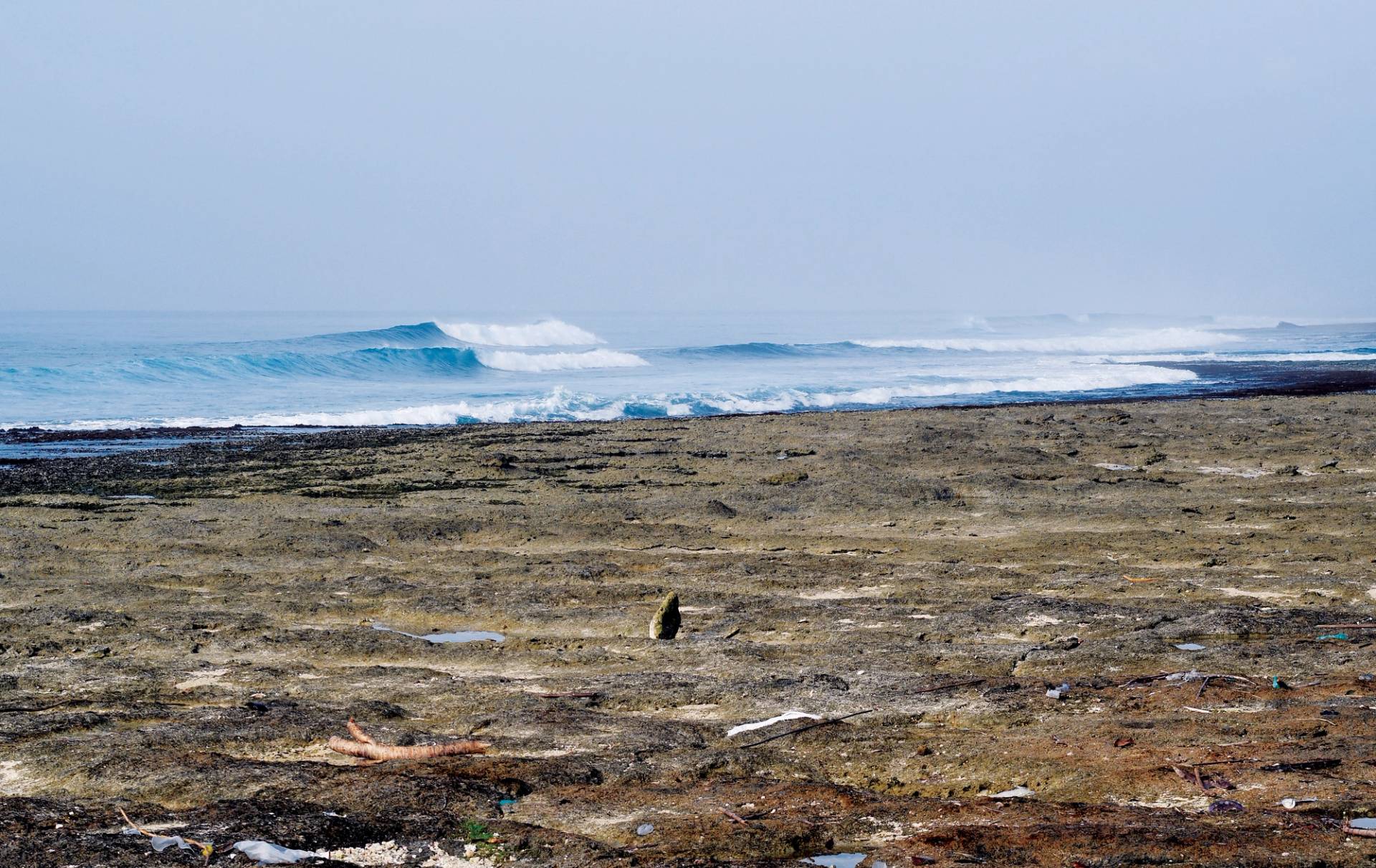 Fishermans Cove by Bruce Sutherland