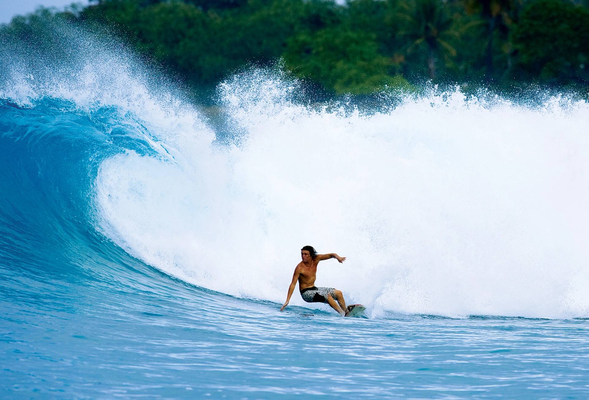 Kona Coast by Andrew Sheild