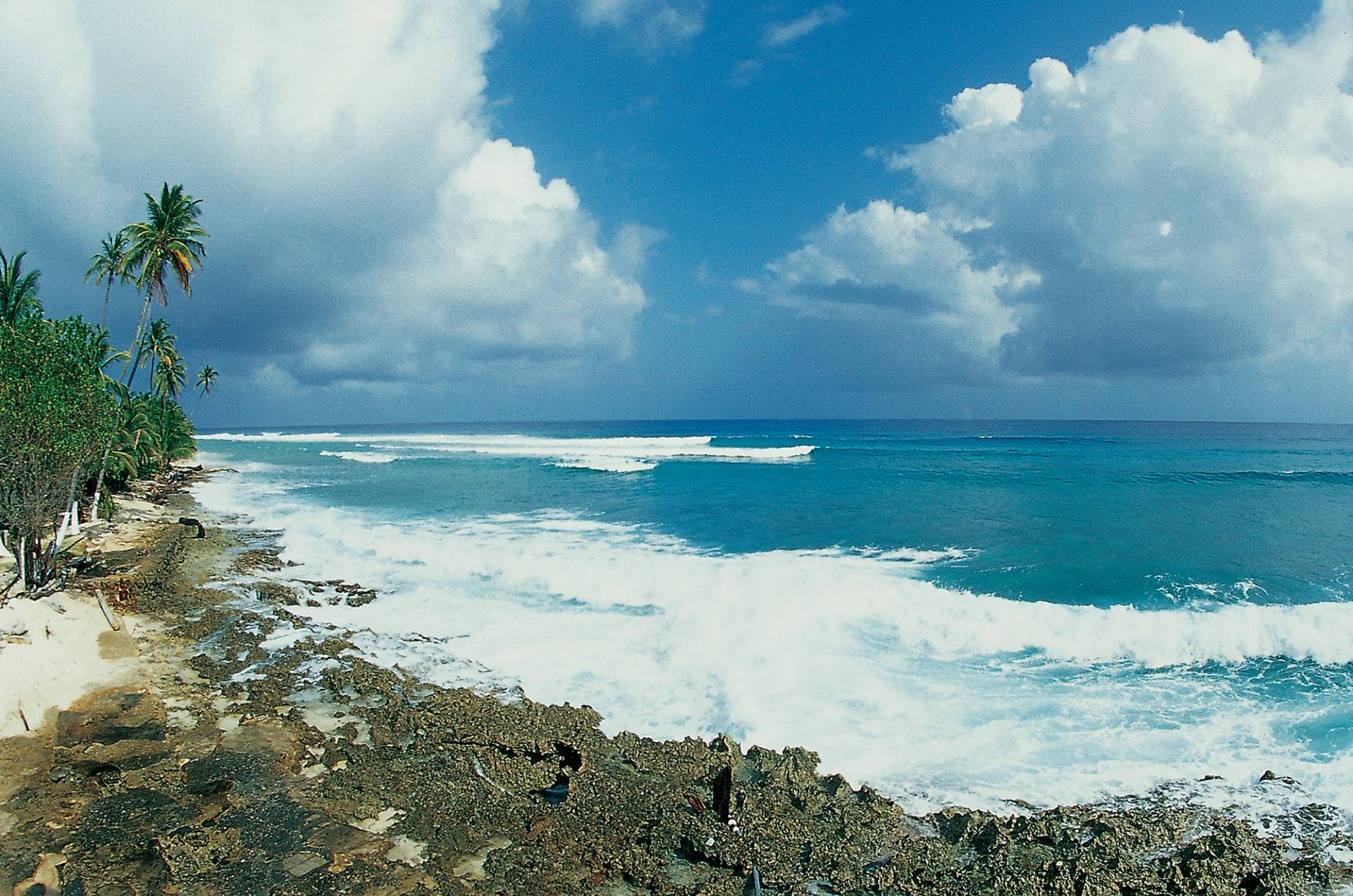 Punta Sur, San Andres Island by Stéphane Robin