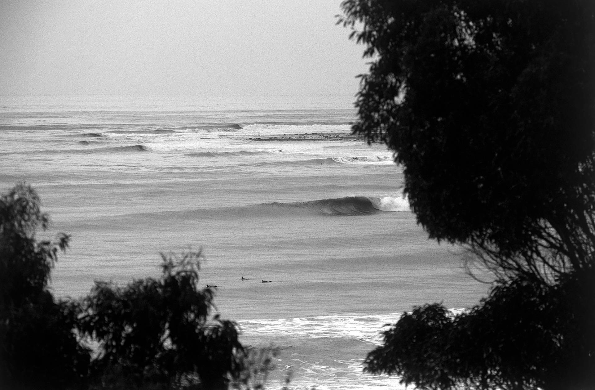 Naples Point, Goleta by David Pu'u