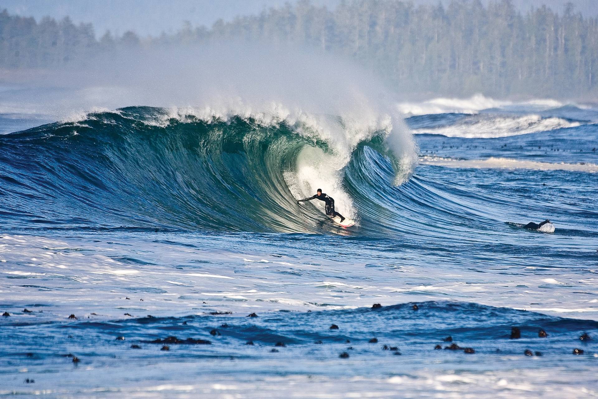 Vancouver Island by Tim Nunn