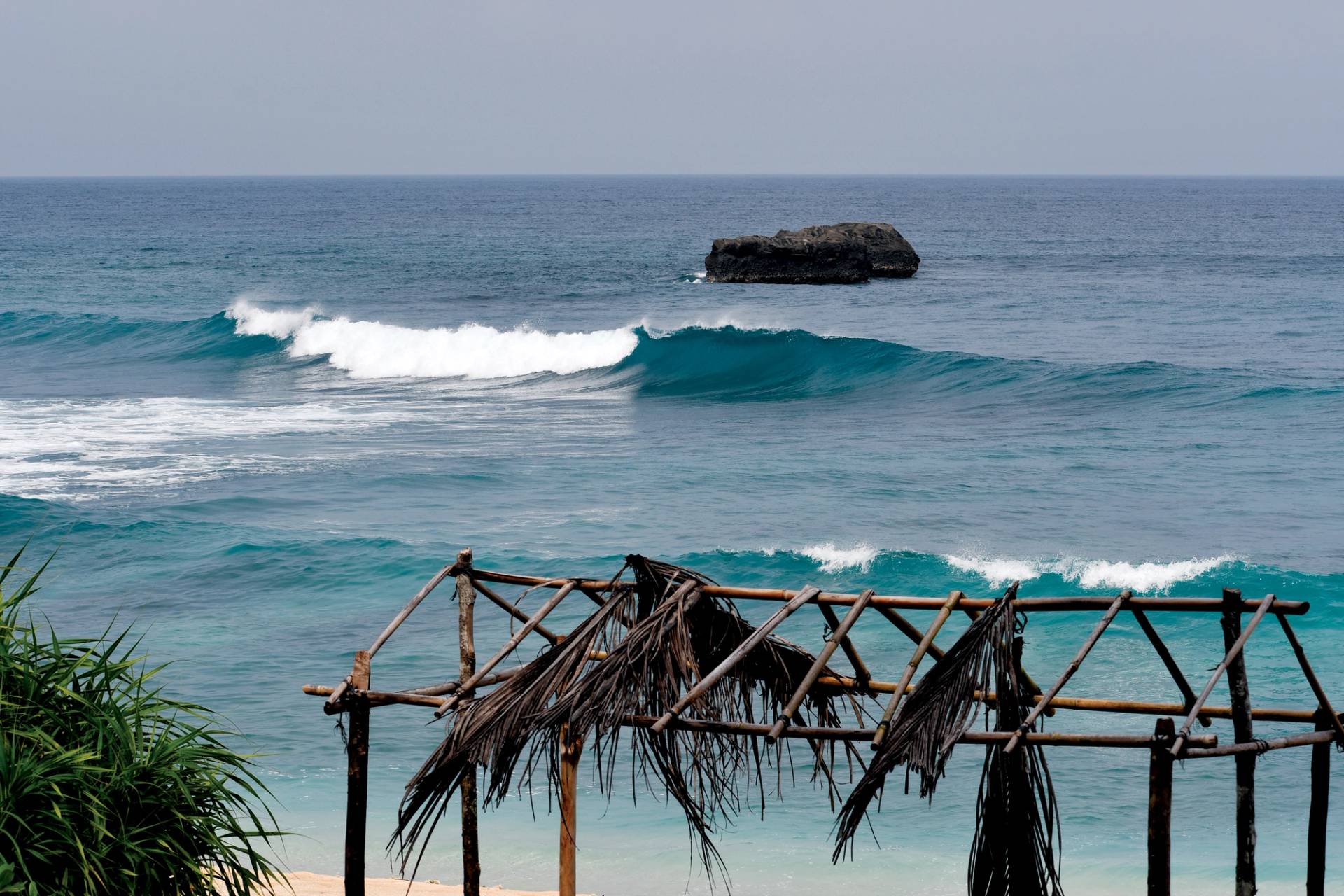 Turtles, Simeulue by Bruce Sutherland