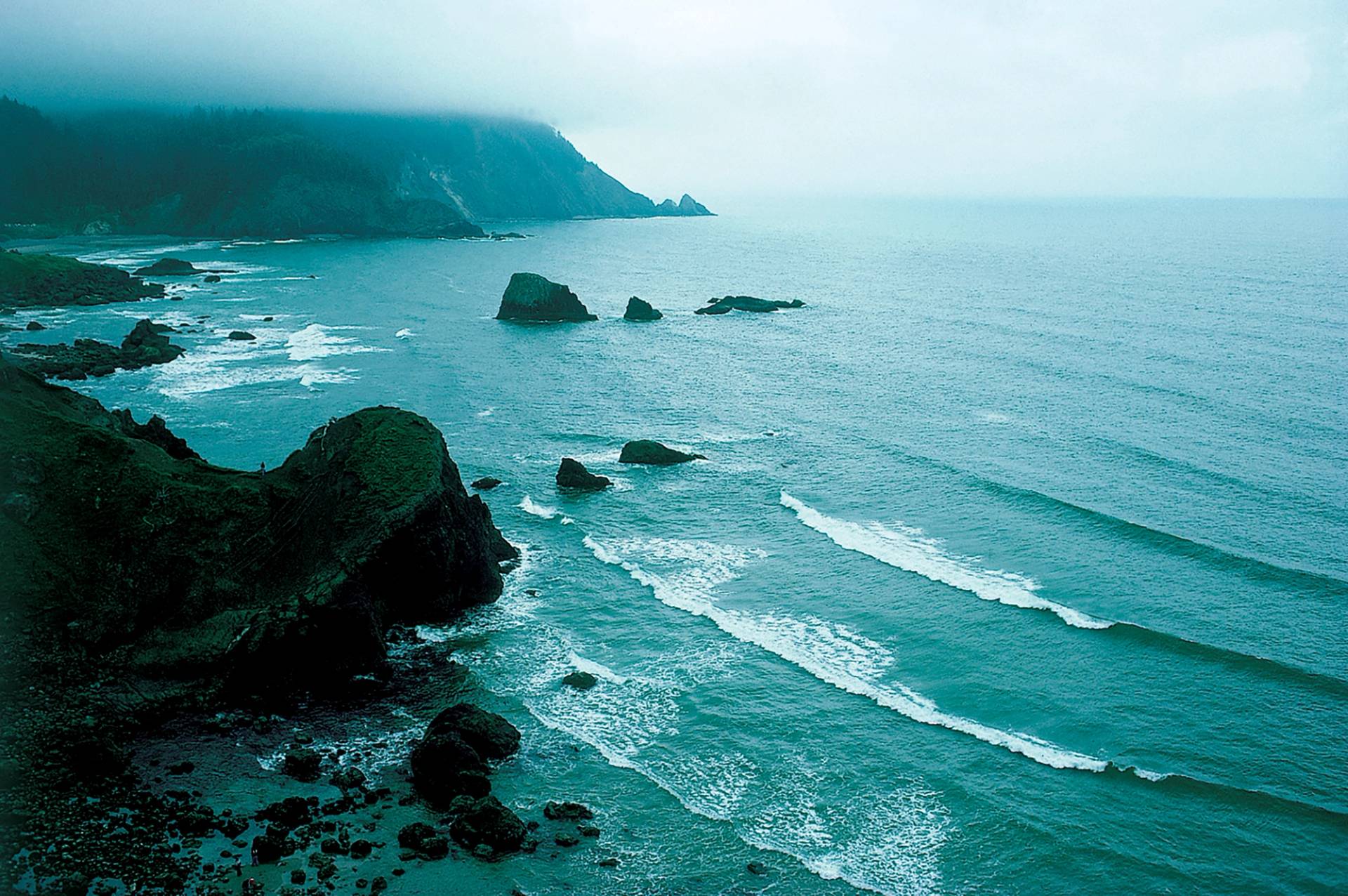 Oregon Coast by Don Balch