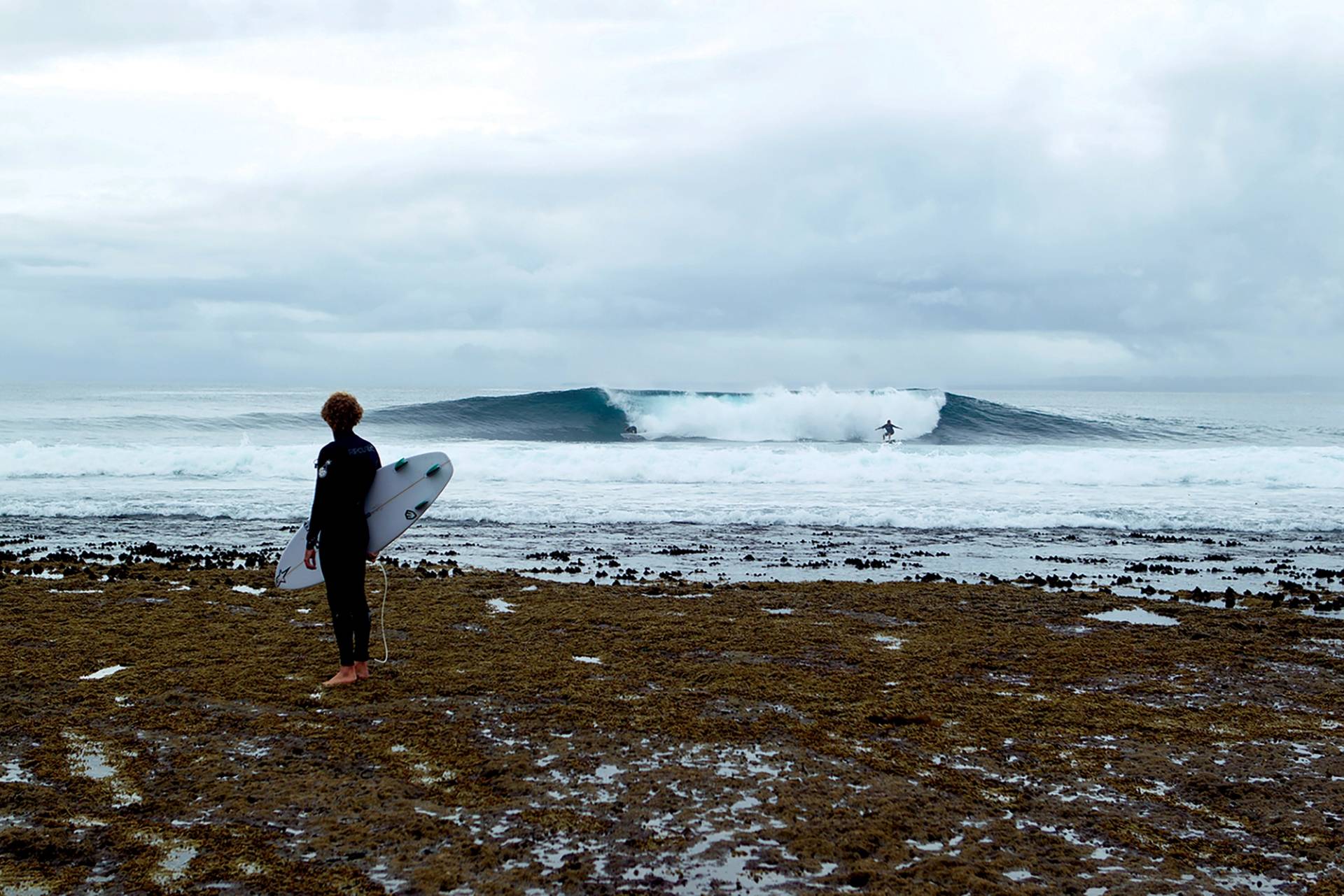 Aussie Pipe by Andrew Sheild