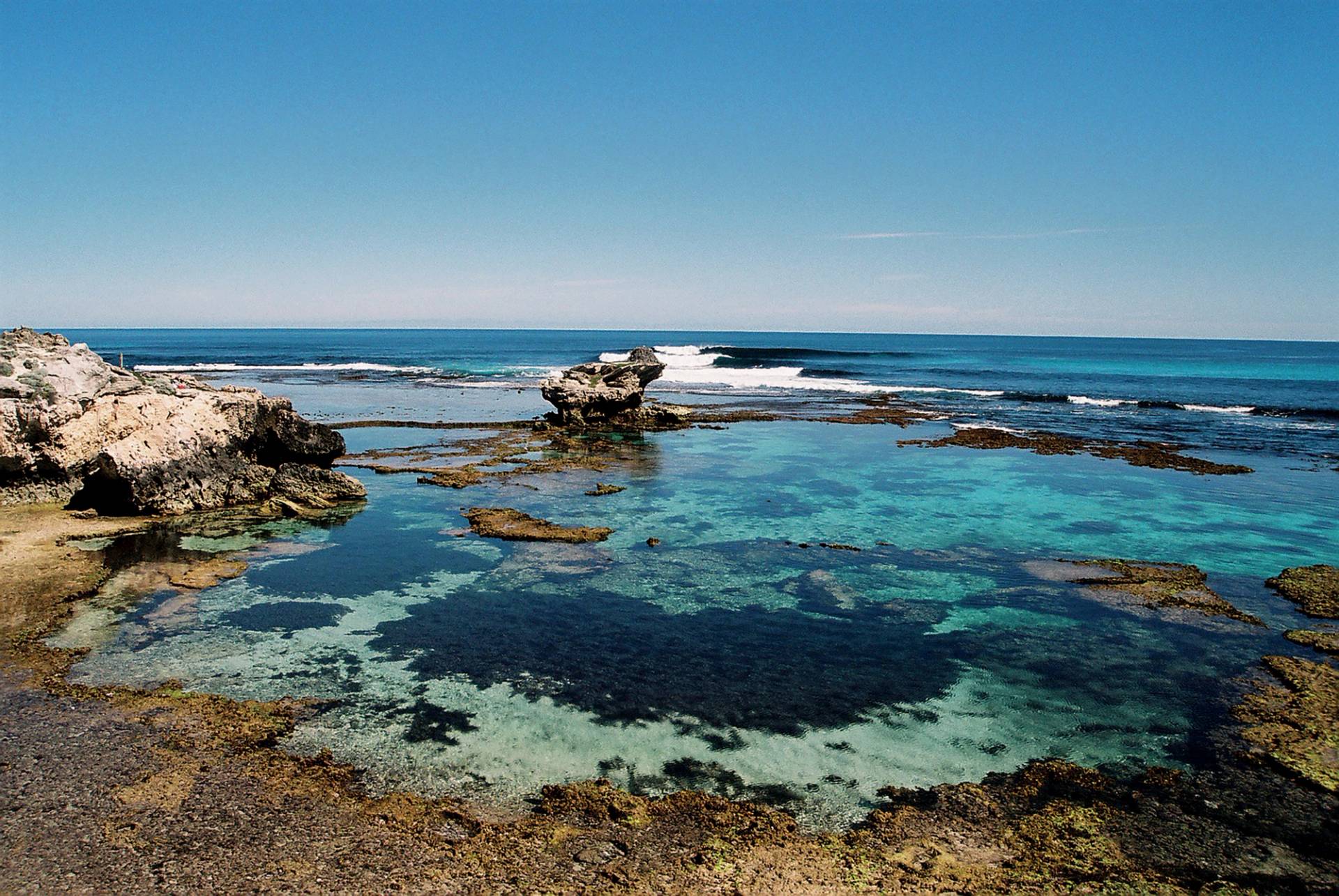 Chicken Reef by Michael Legge-Wilkinson