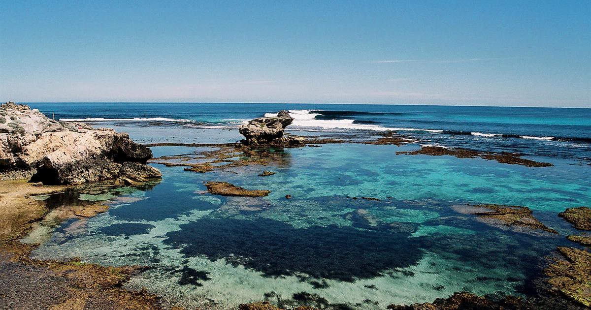 Chicken Reef Surf Guide (Perth, Western Australia) – Wave Info & Tips ...