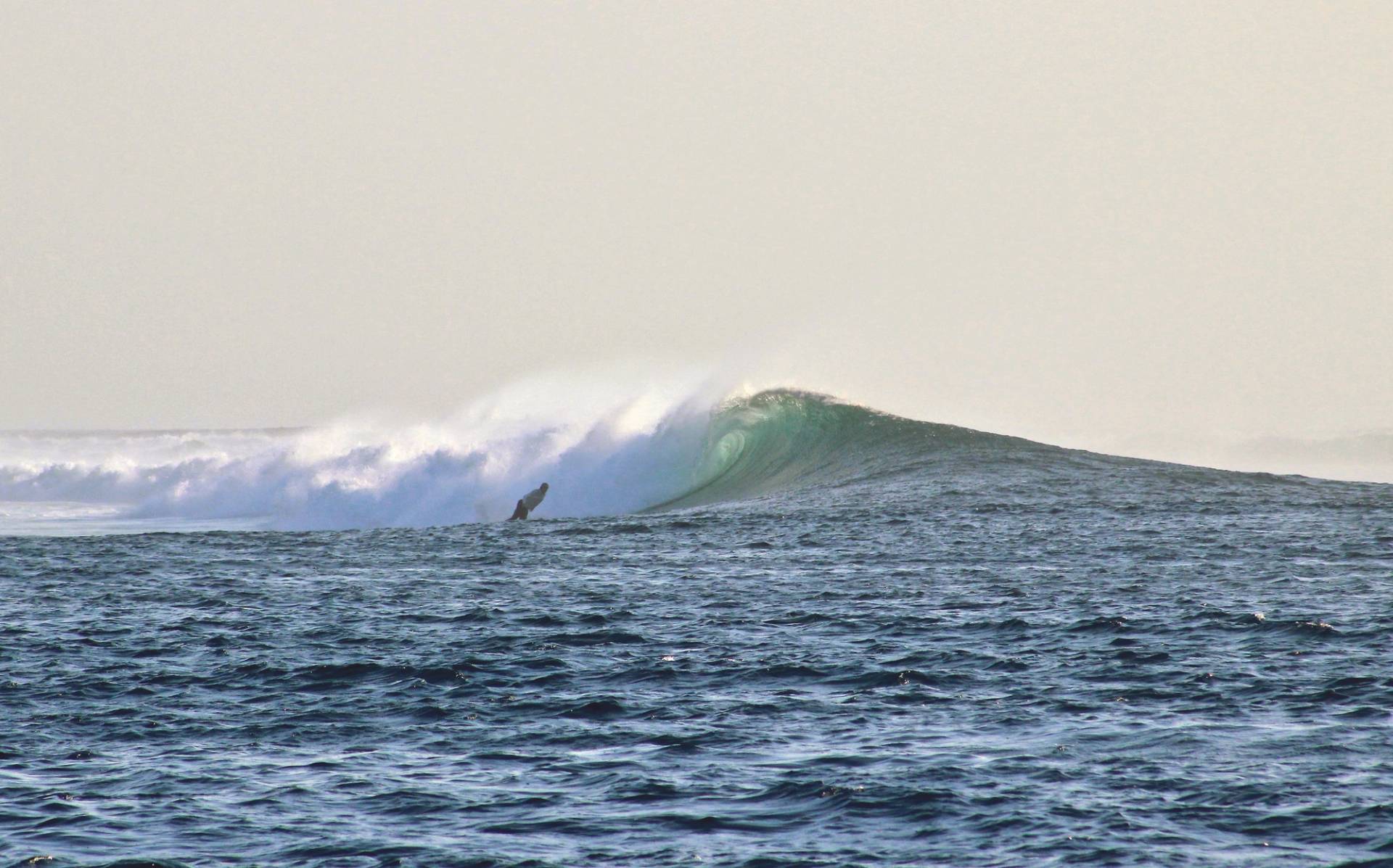 Mangkudu Lefts by Ollie Fitzjones