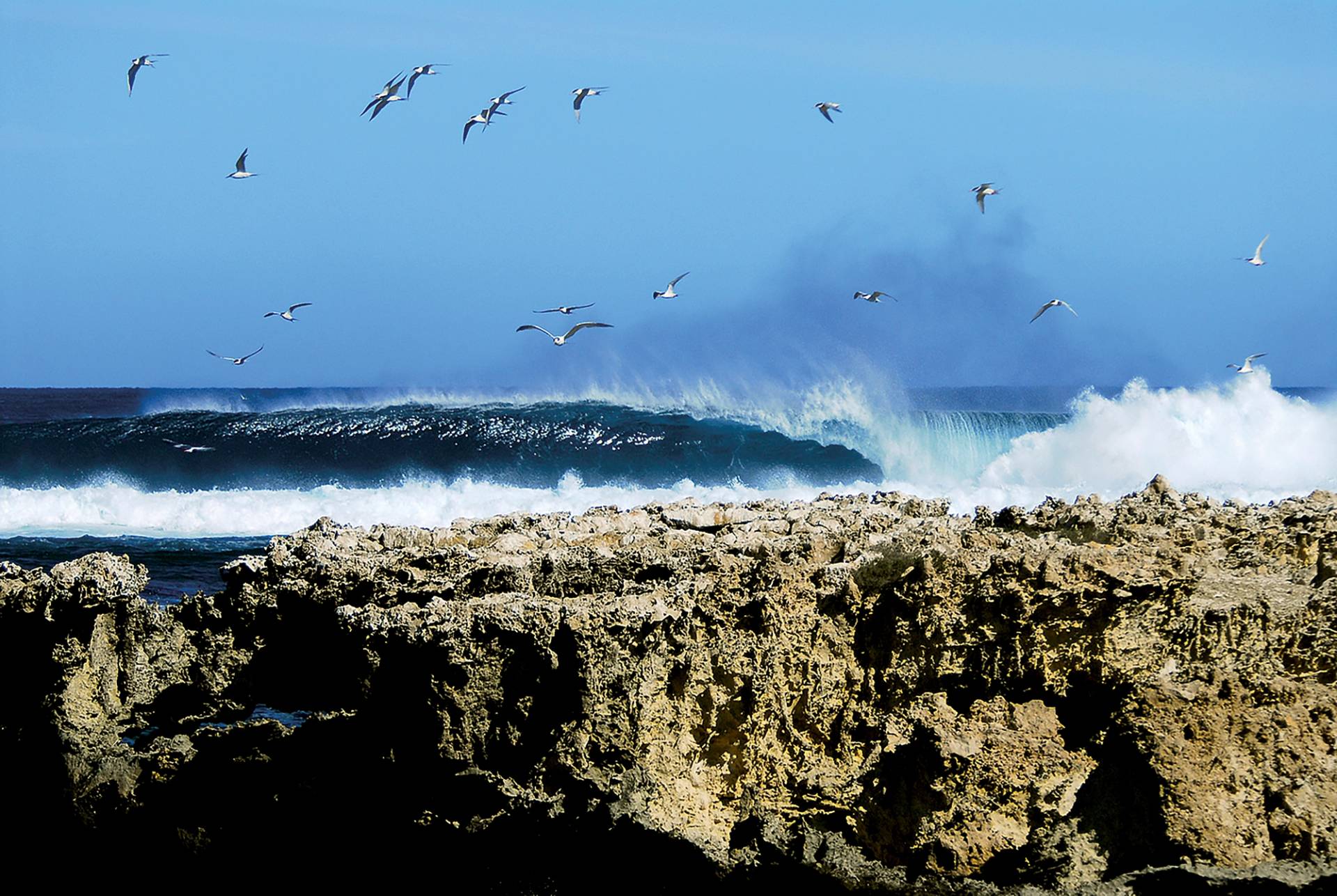 Supertubes - Abrolhos by Mick Gullan