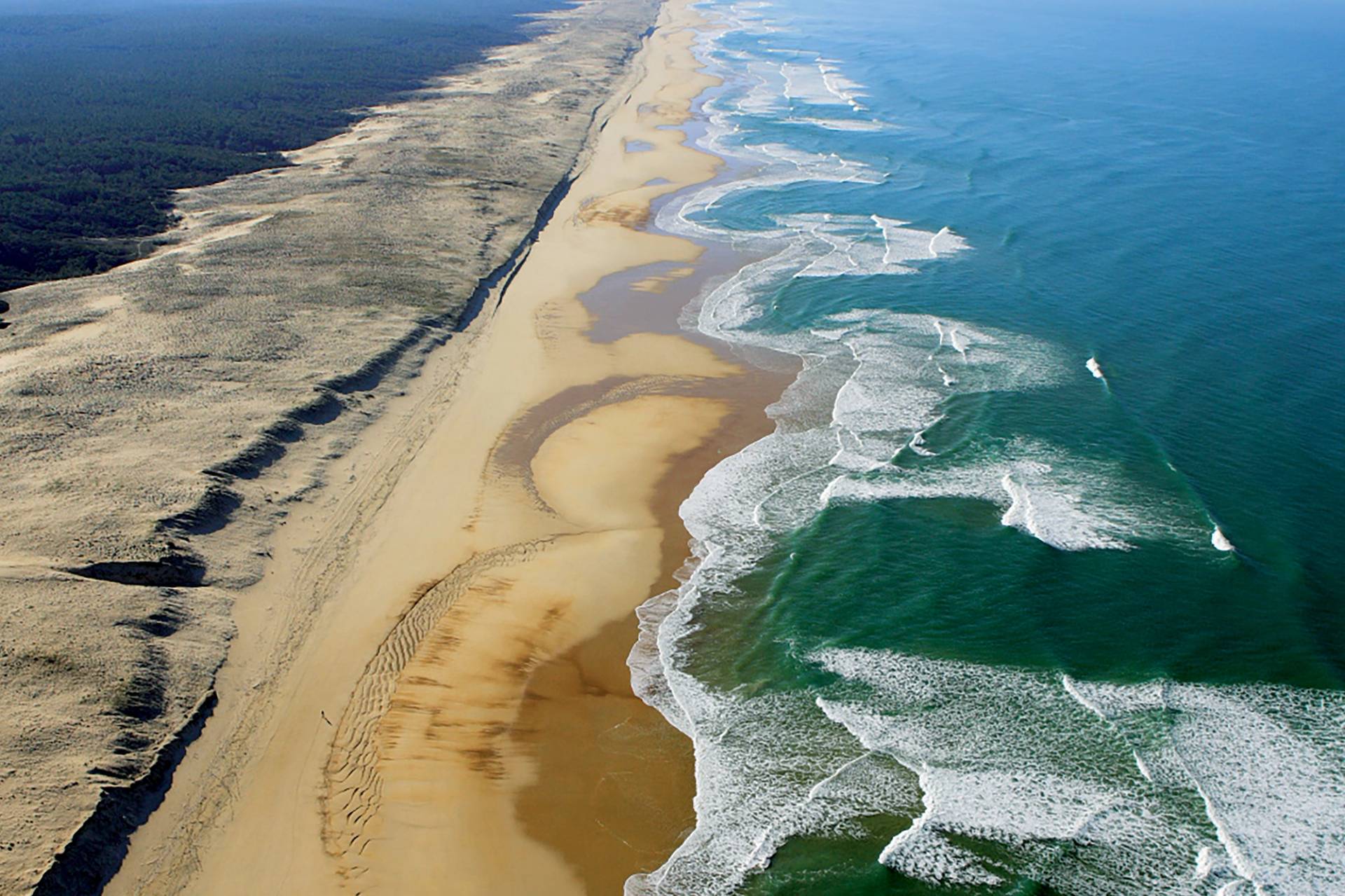 Landes by Laurent Masurel