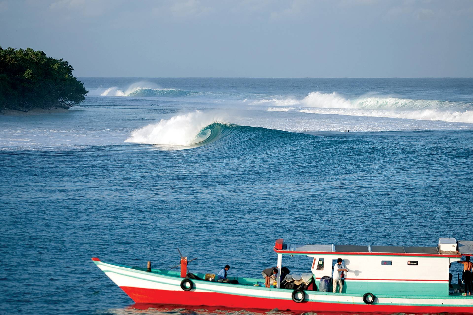 One Palm Point by Andrew Sheild