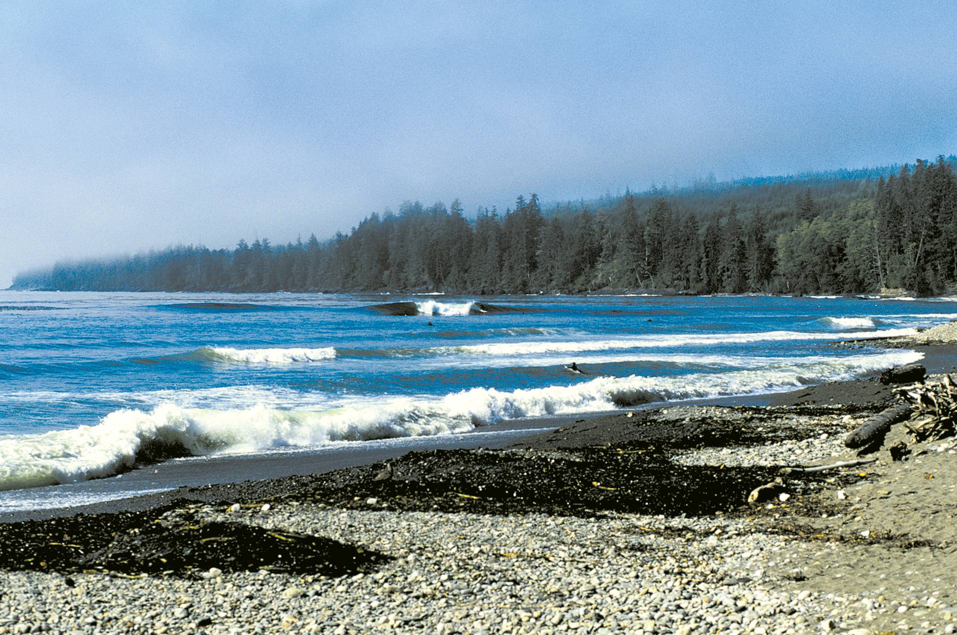 South Vancouver Island by Geoff Ragatz