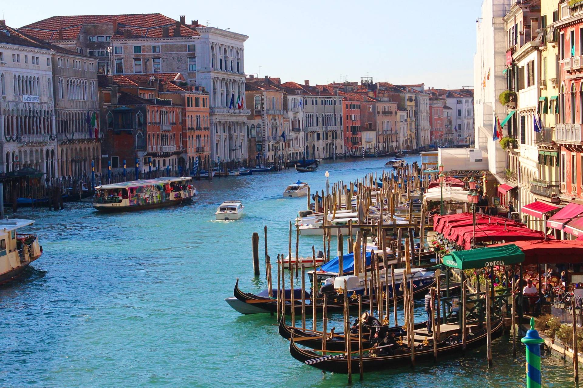 Venice by Ollie Fitzjones