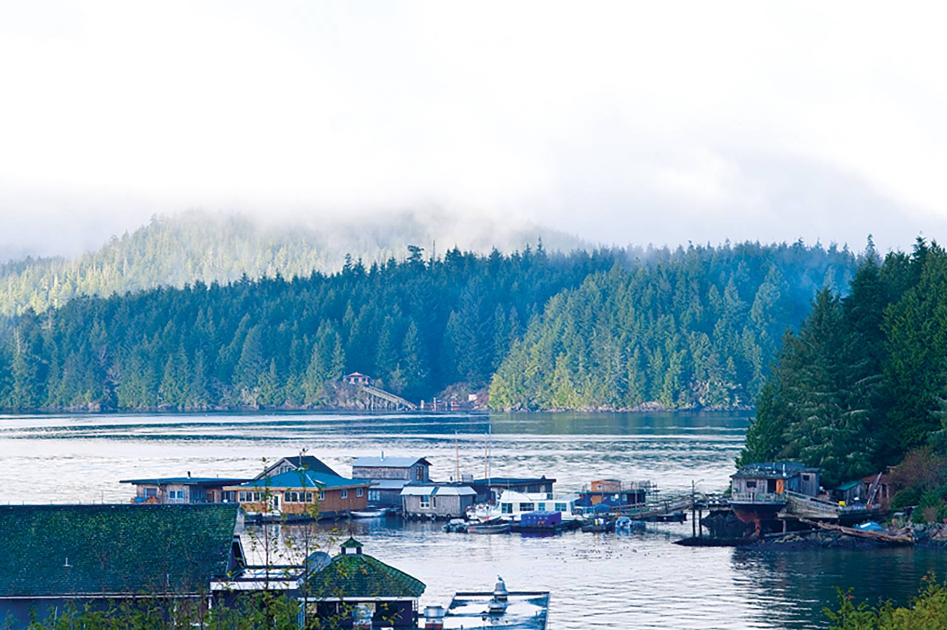 Tofino by Tim Nunn