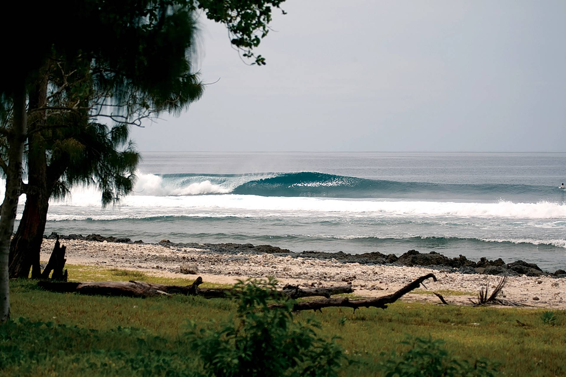 Pango Point by Jason Feast