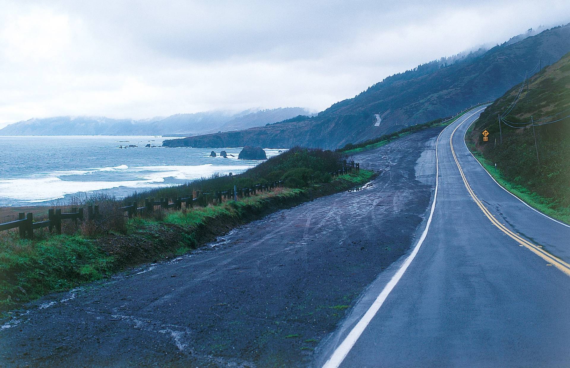 Redwood Highway by Michael Kew