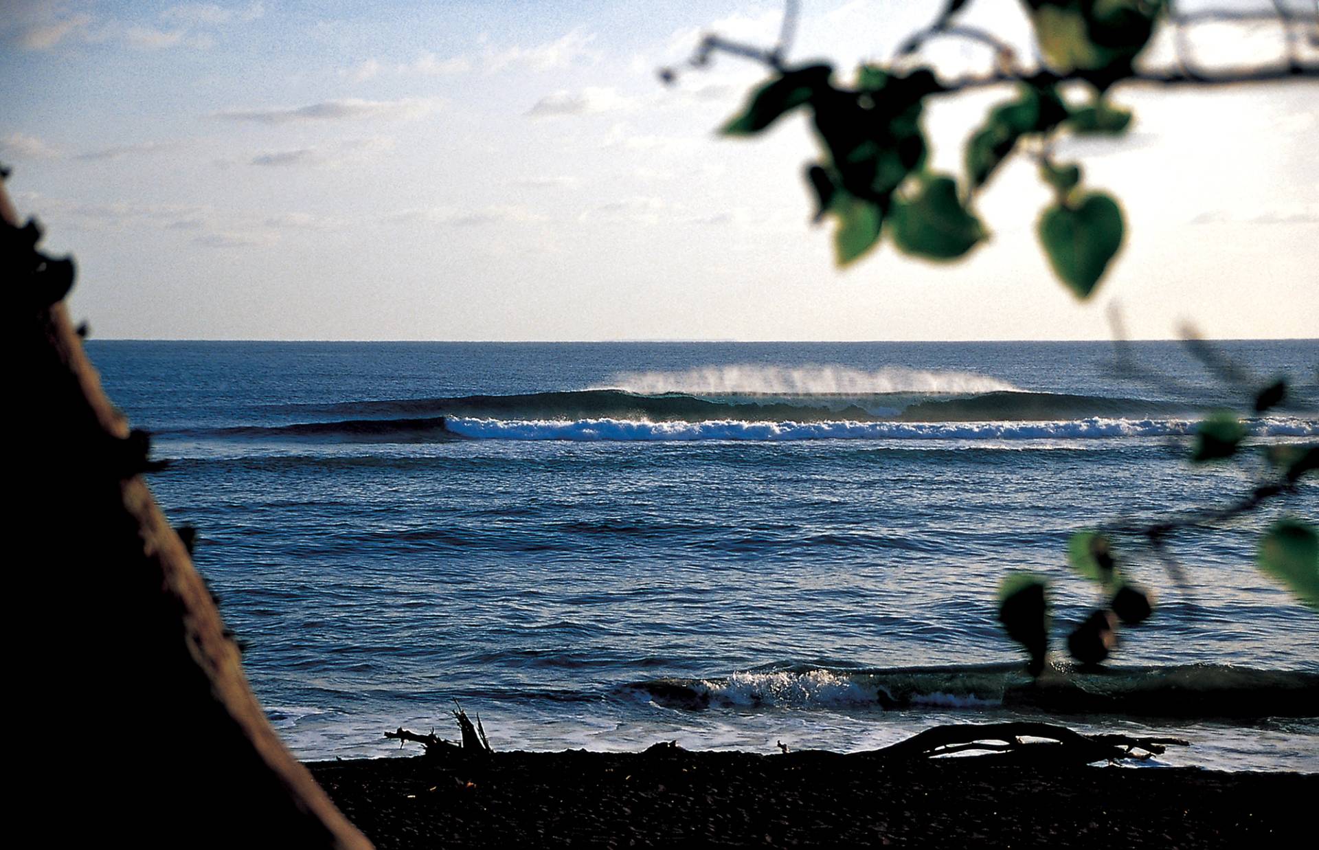 Pango Point by Shane Mcintyre