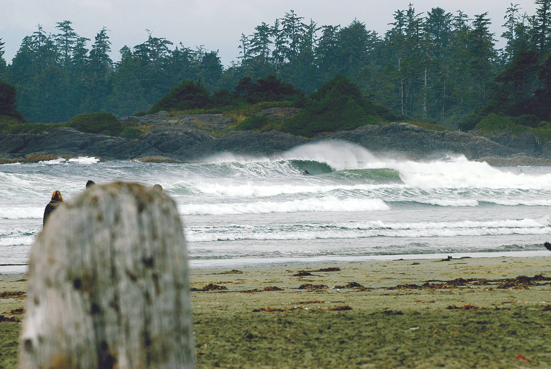 Cox Bay by Mick Gullan