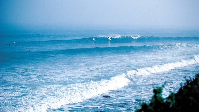 Turtle Cove