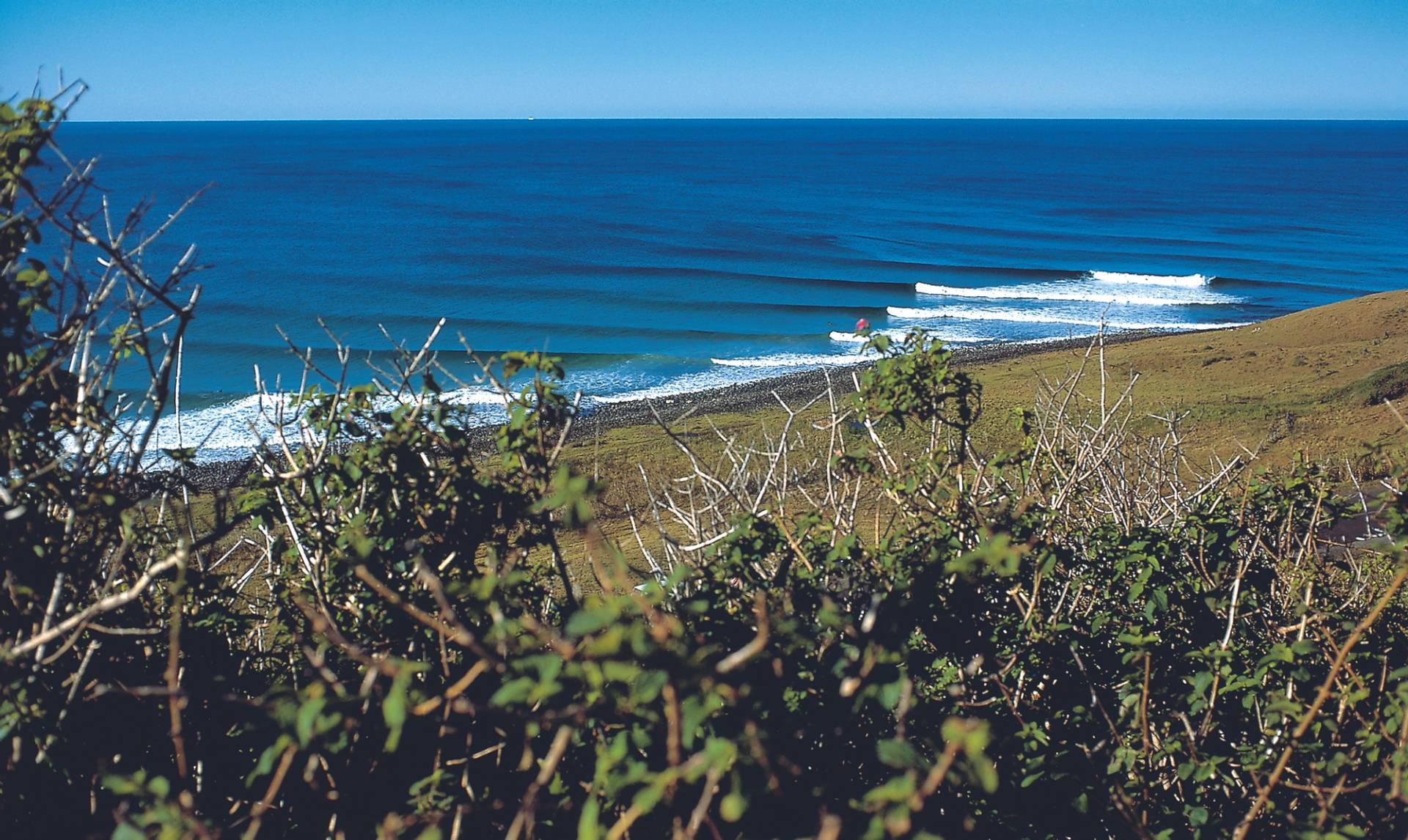 Lennox Head by Don Balch