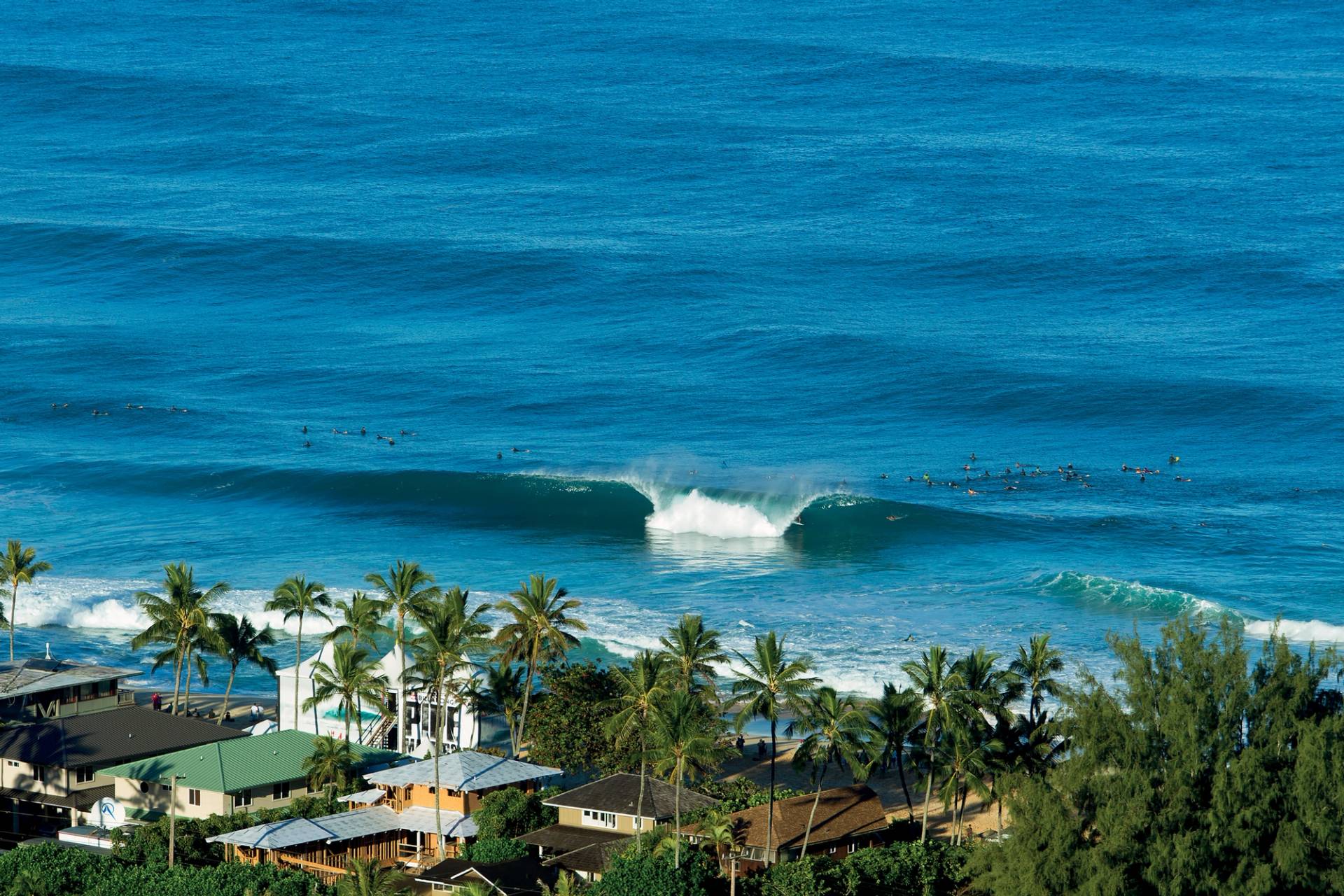 Pipeline and Backdoor by Andrew Sheild