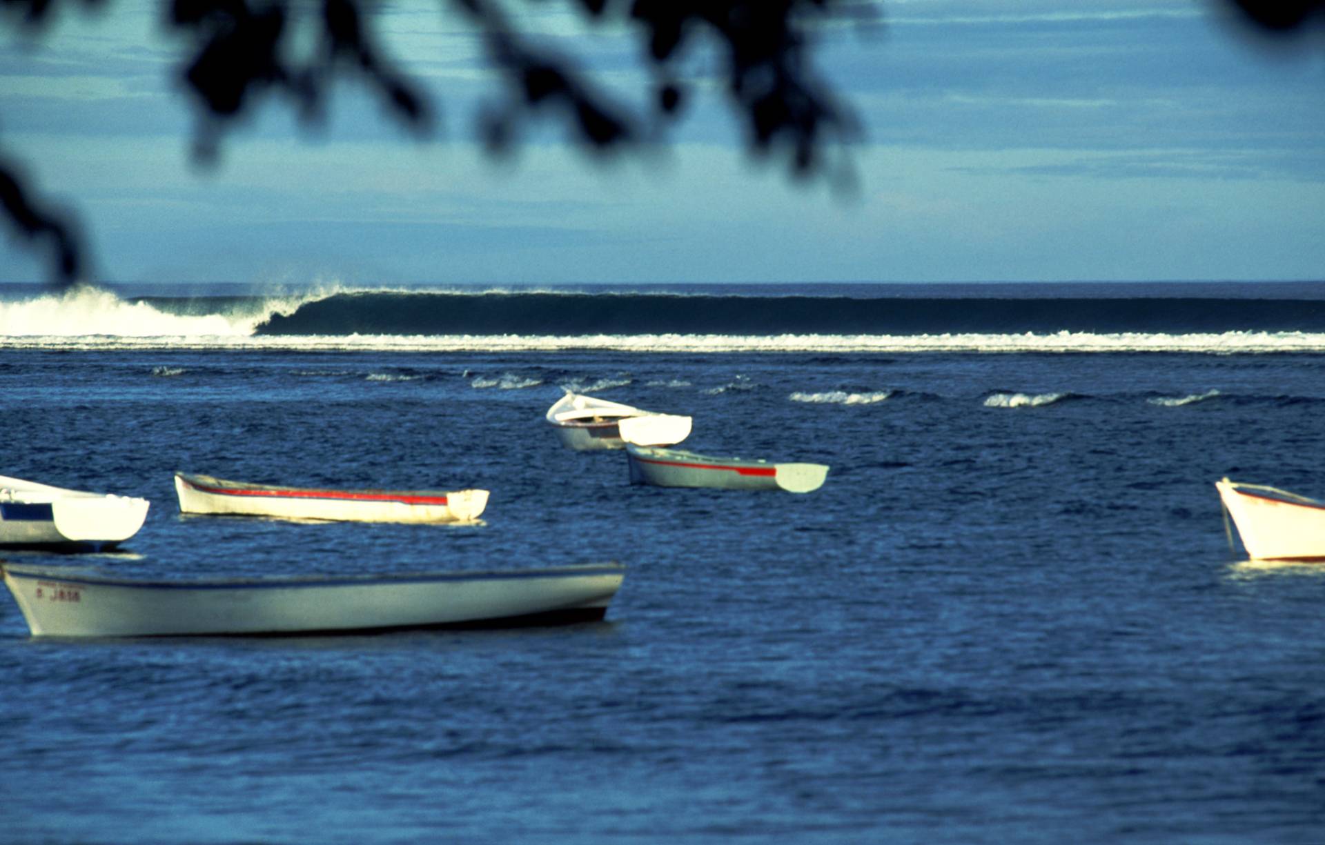 Tamarin Bay by Steve Fitzpatrick