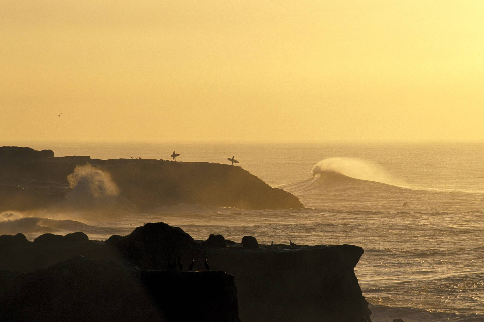 Steamer Lane - The Point by Patrick Trefz