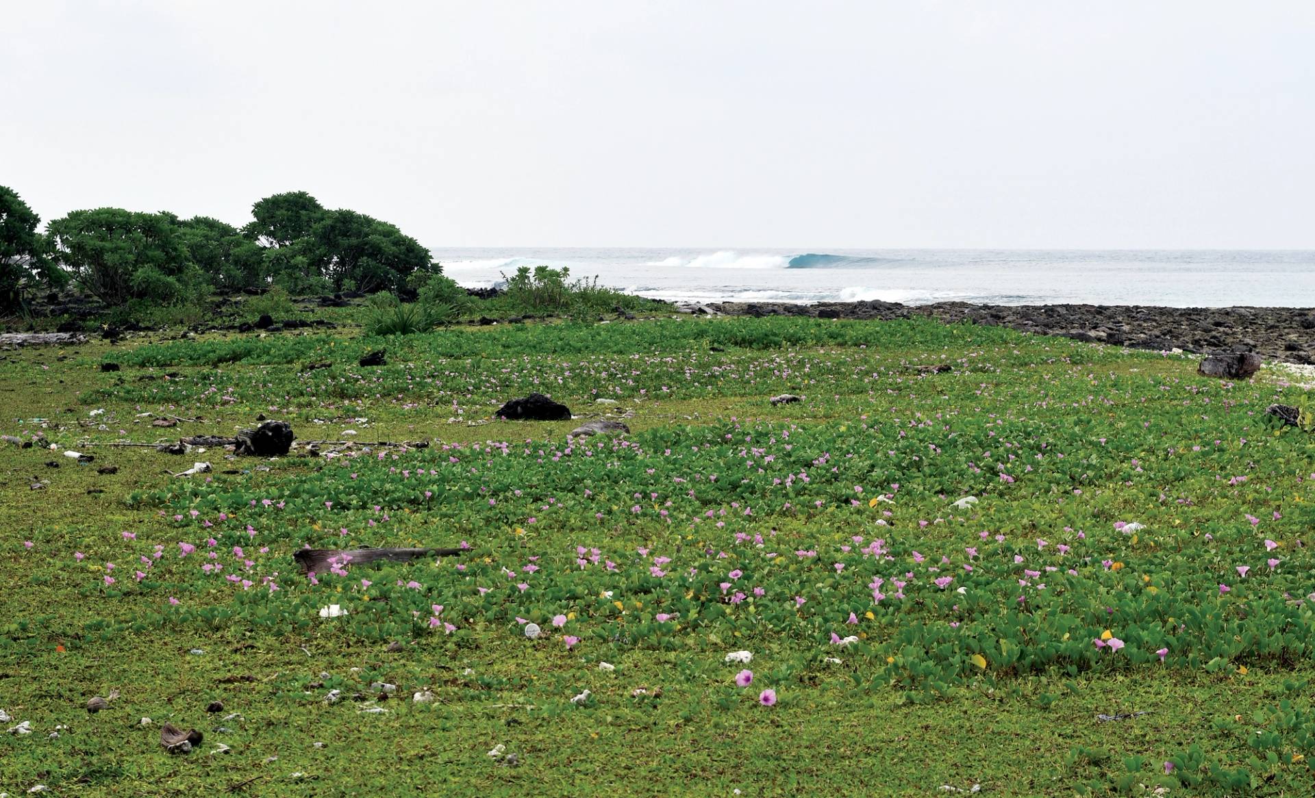 Ujung Alatat by Bruce Sutherland