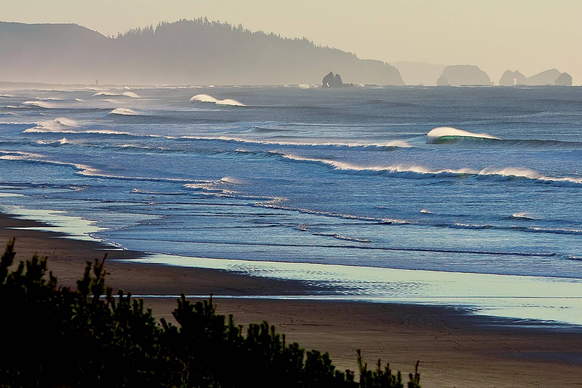 Oregon Coast by Mark McInnis