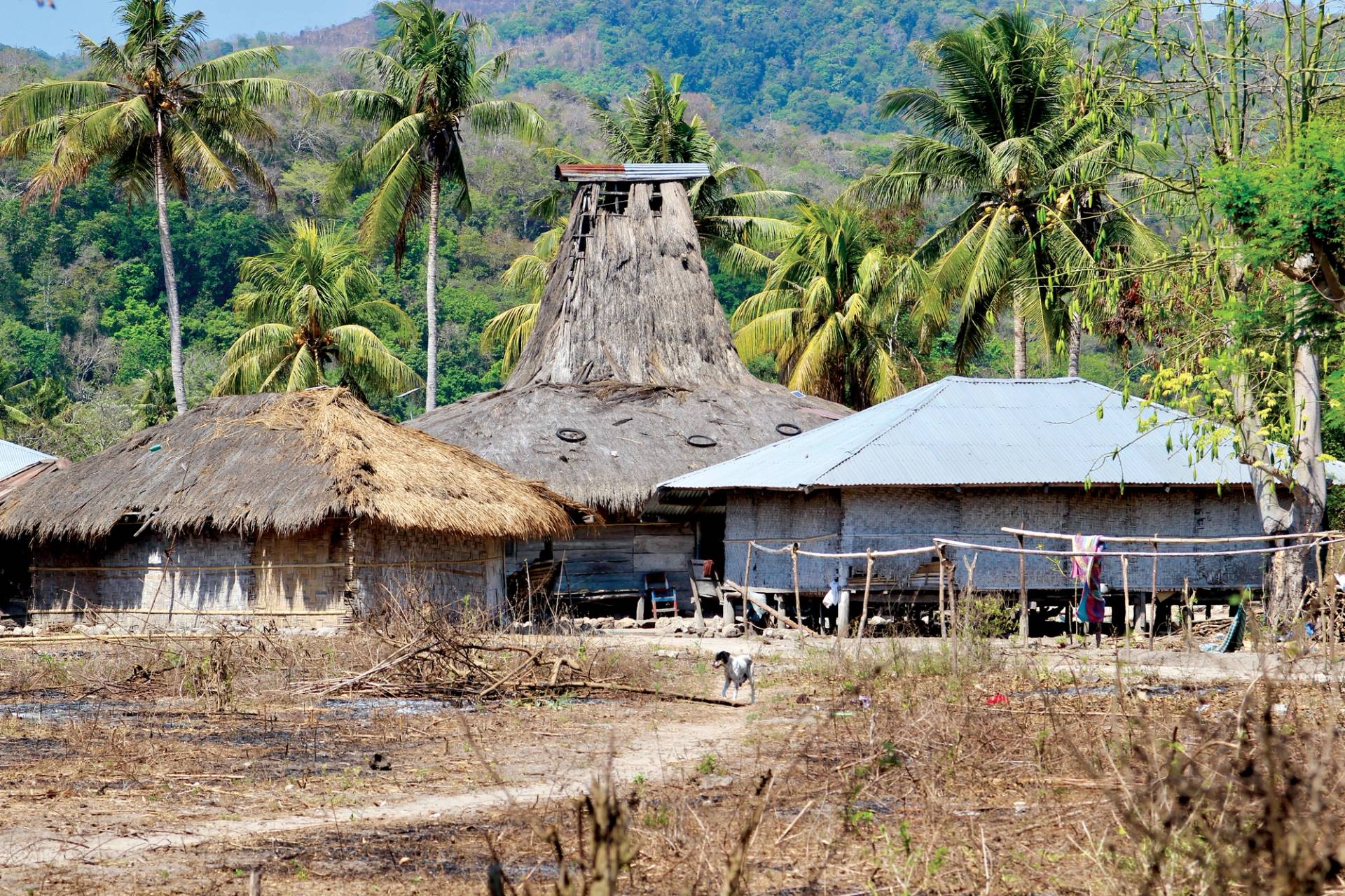 Sumba Travel by Ollie Fitzjones