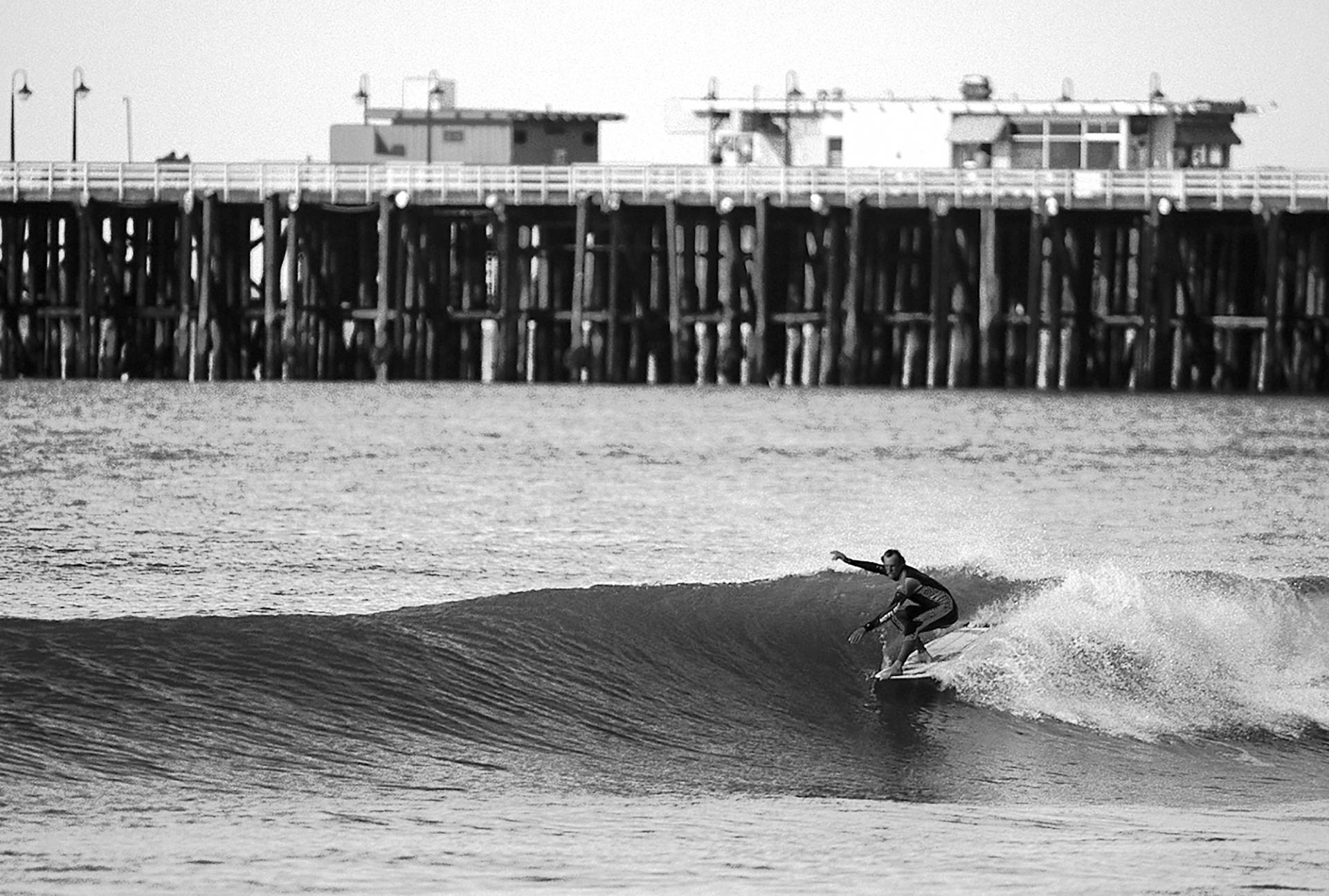 The Rivermouth by Bob Barbour