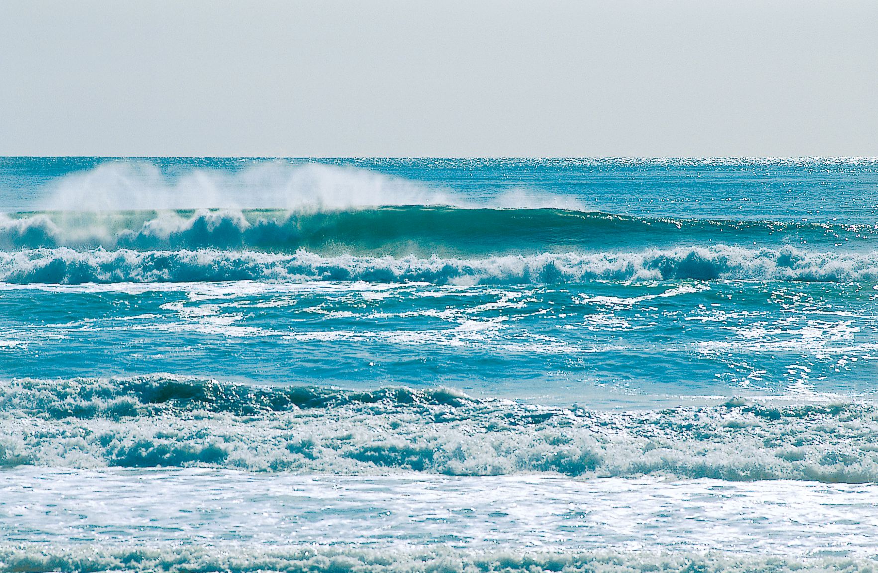 Point Reyes Beach (North Side) Surf Guide (Marin County, Northern ...