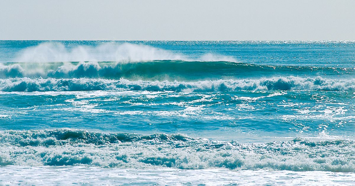 Point Reyes Surf Point Reyes Beach (North Side) Surf Guide (Marin County, Northern ...