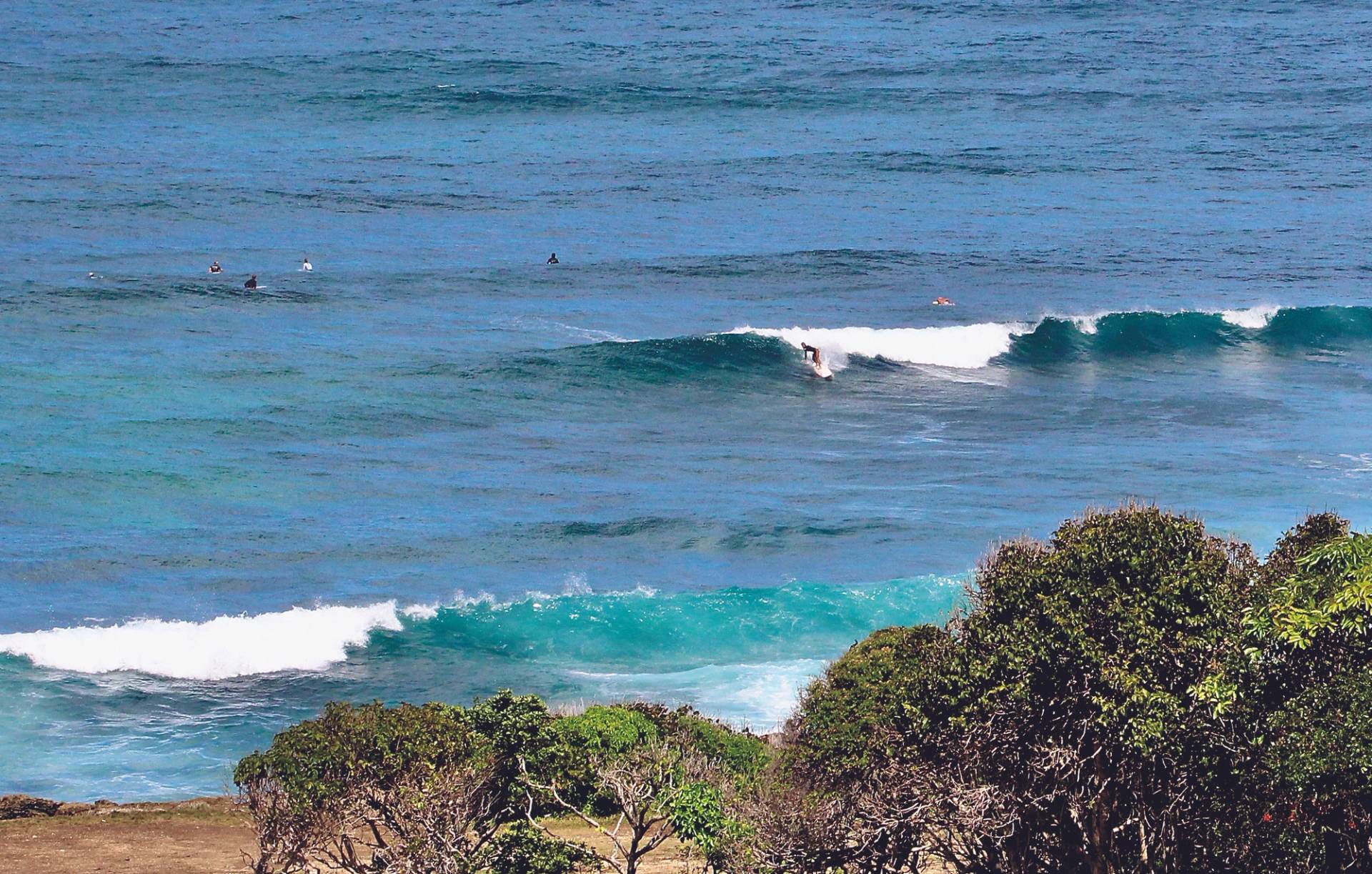 Anse Salabouelle by Ollie Fitzjones