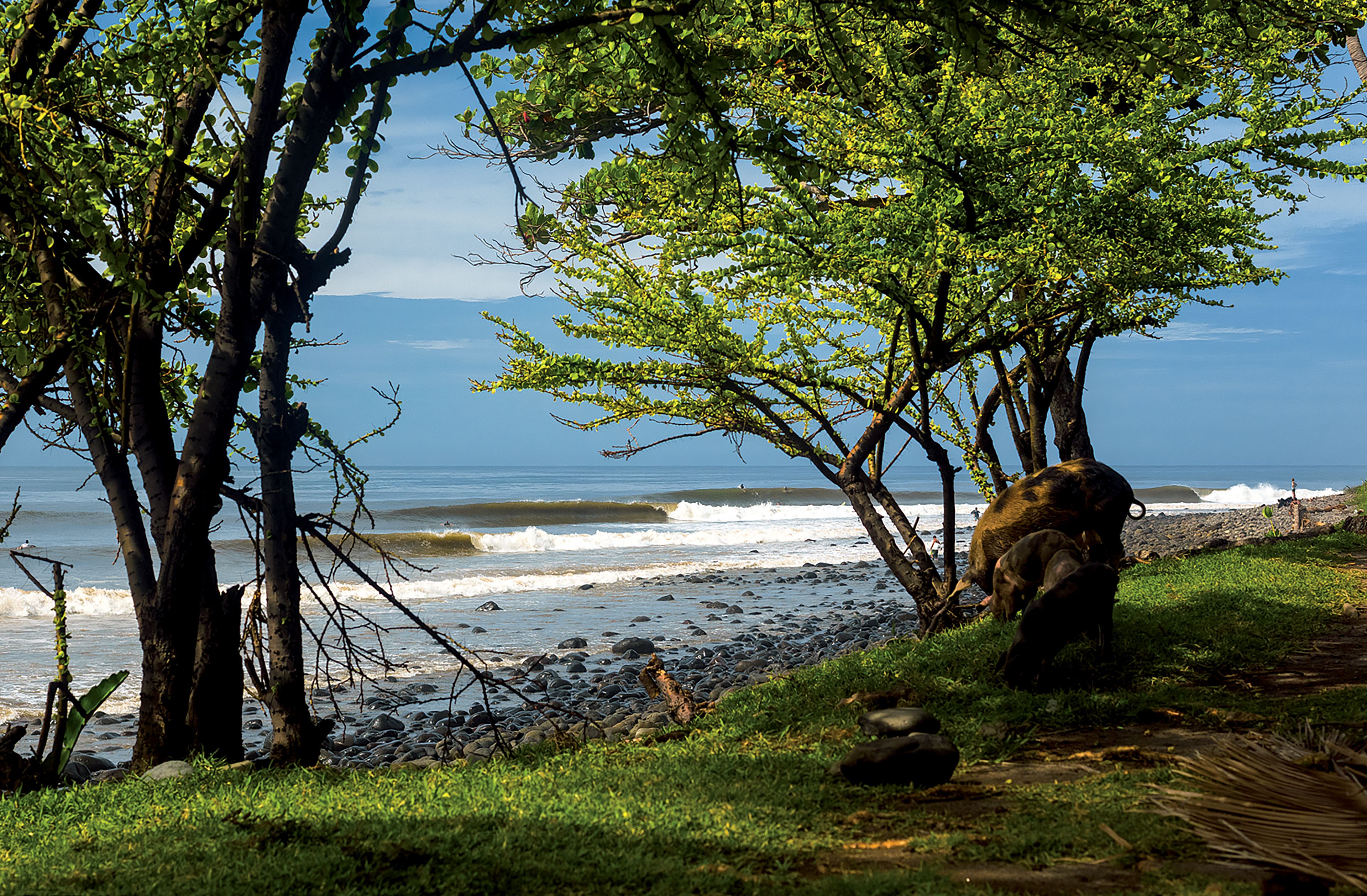 Surfing in El Salvador – Guide to Best Surf Spots & Seasons ...