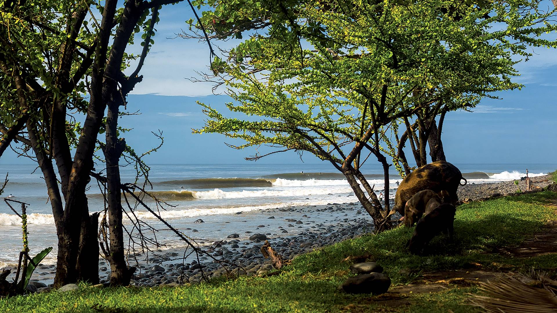 Surfing in El Salvador – Guide to Best Surf Spots & Seasons ...