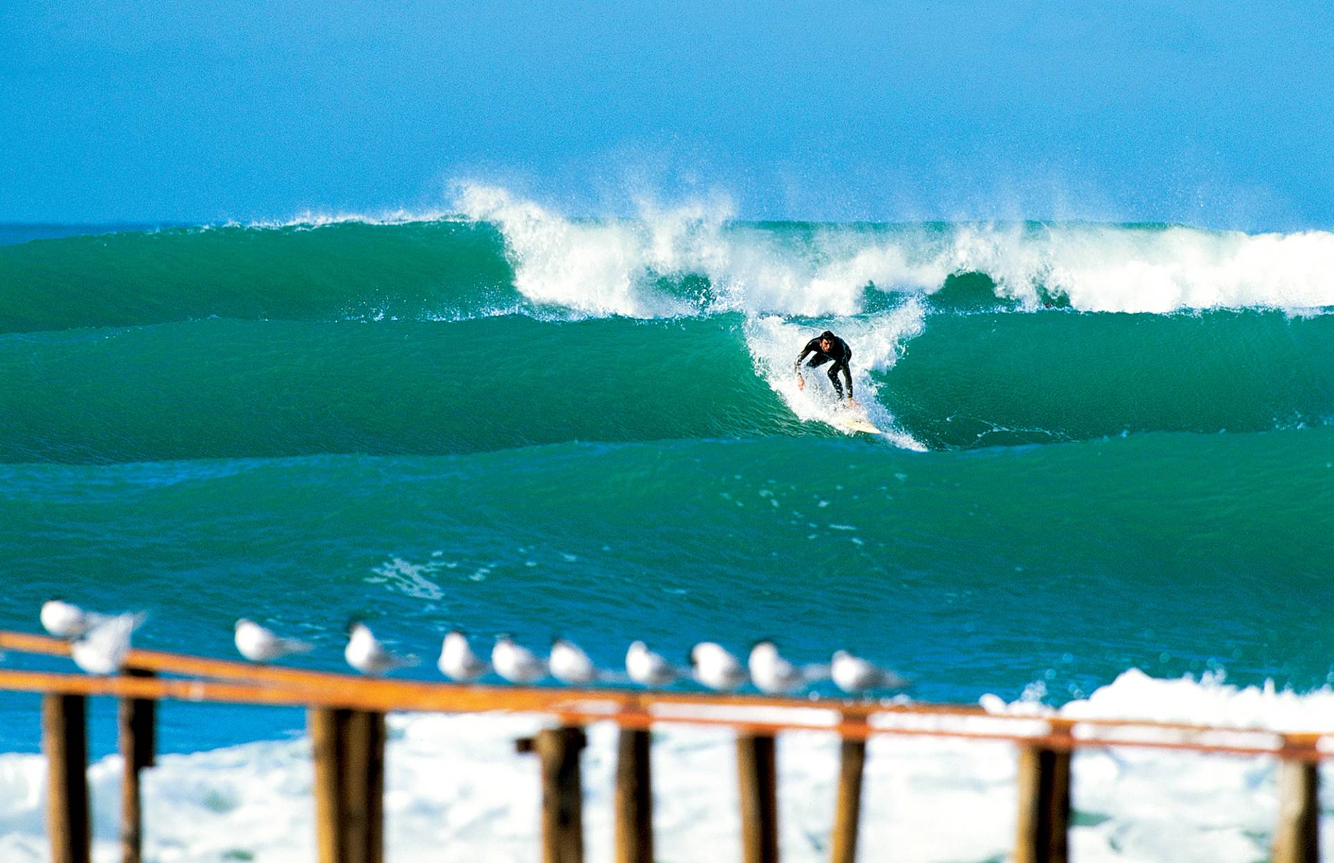 Banzai, Lazio by Emi Mazzoni