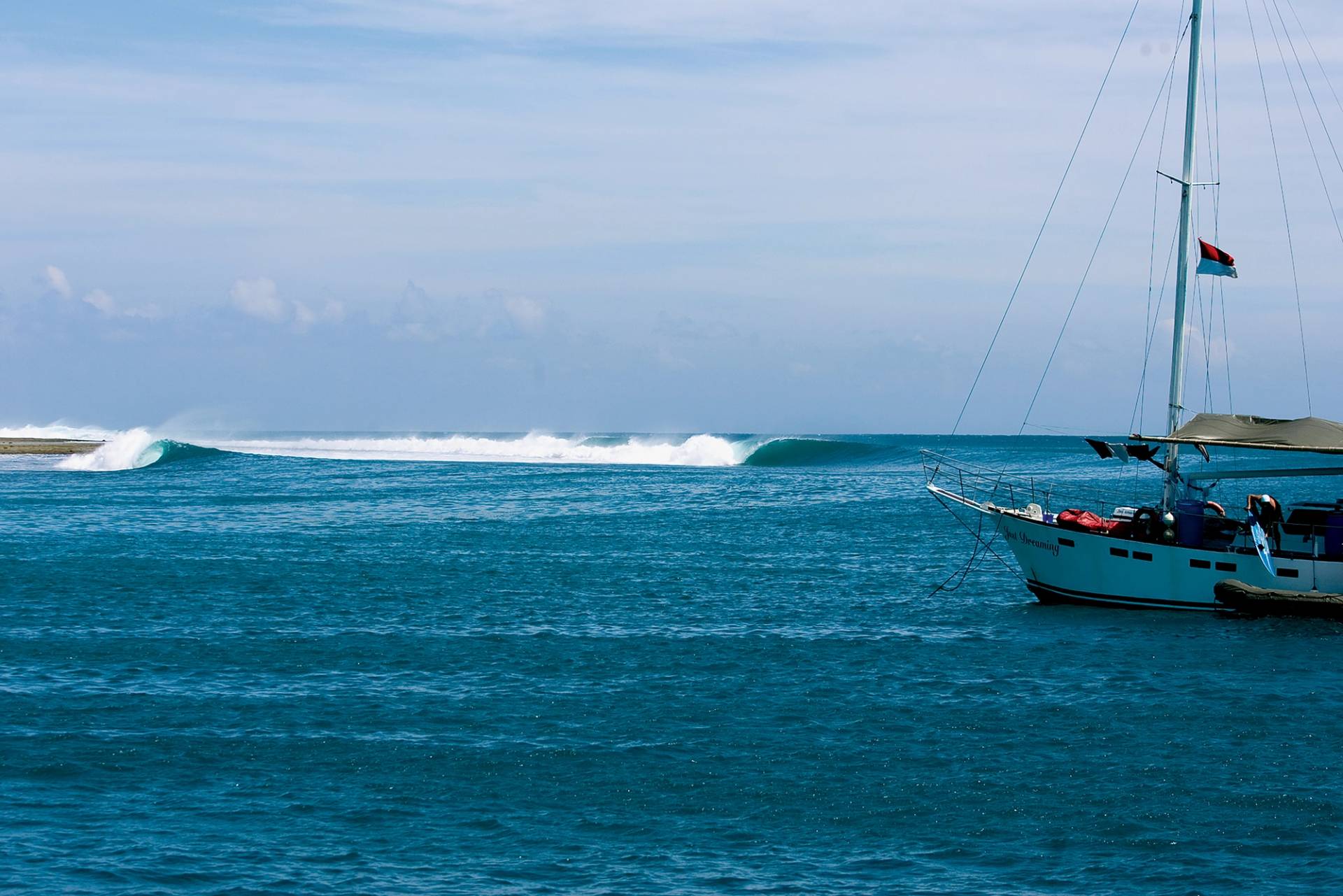 One Palm Point by Andrew Sheild